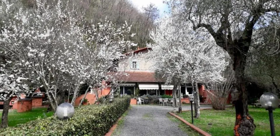 Gli Ulivi Bed & breakfast