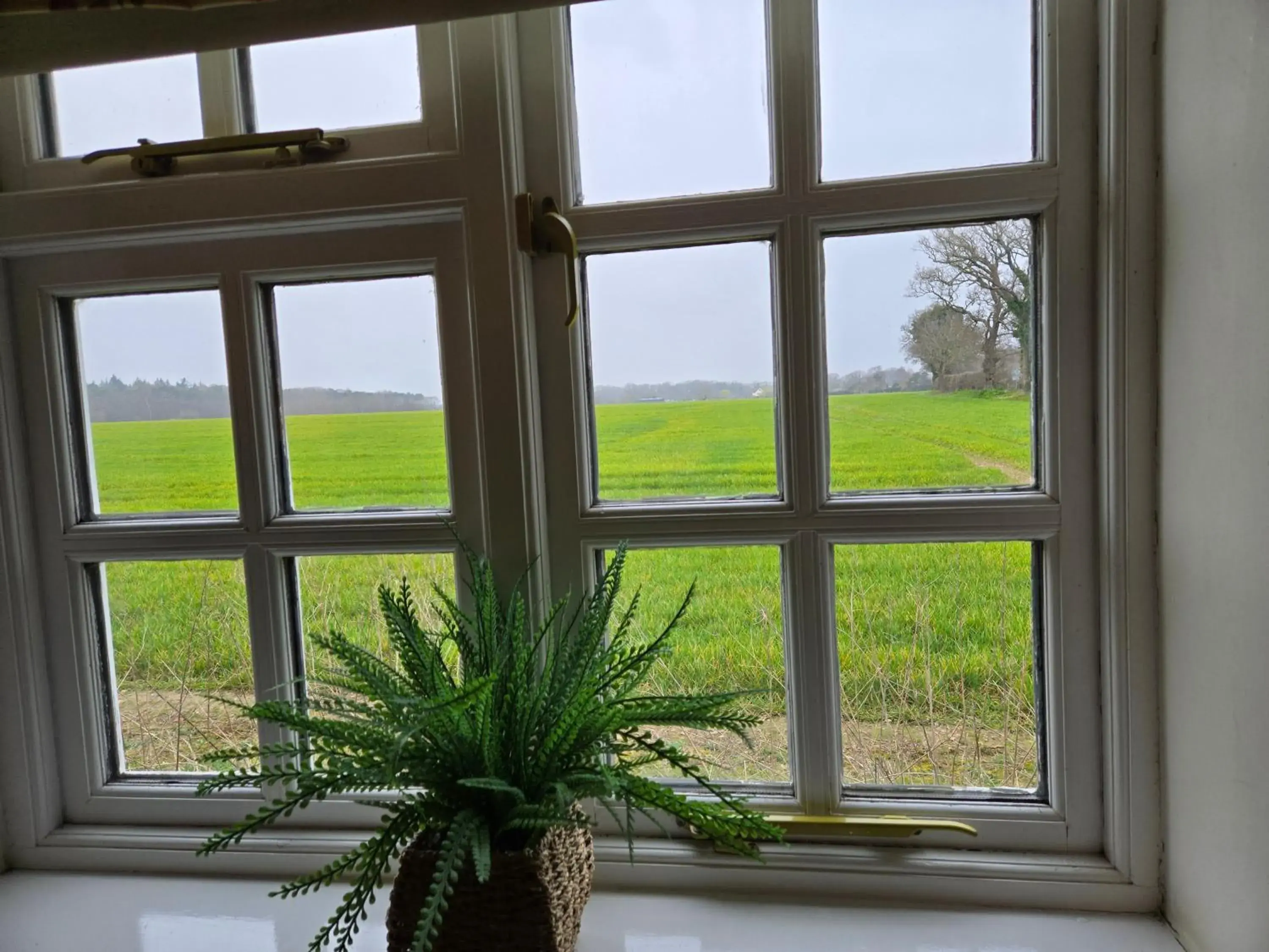 View (from property/room) in Wayside B&B View (from property/room) in Wayside B&B