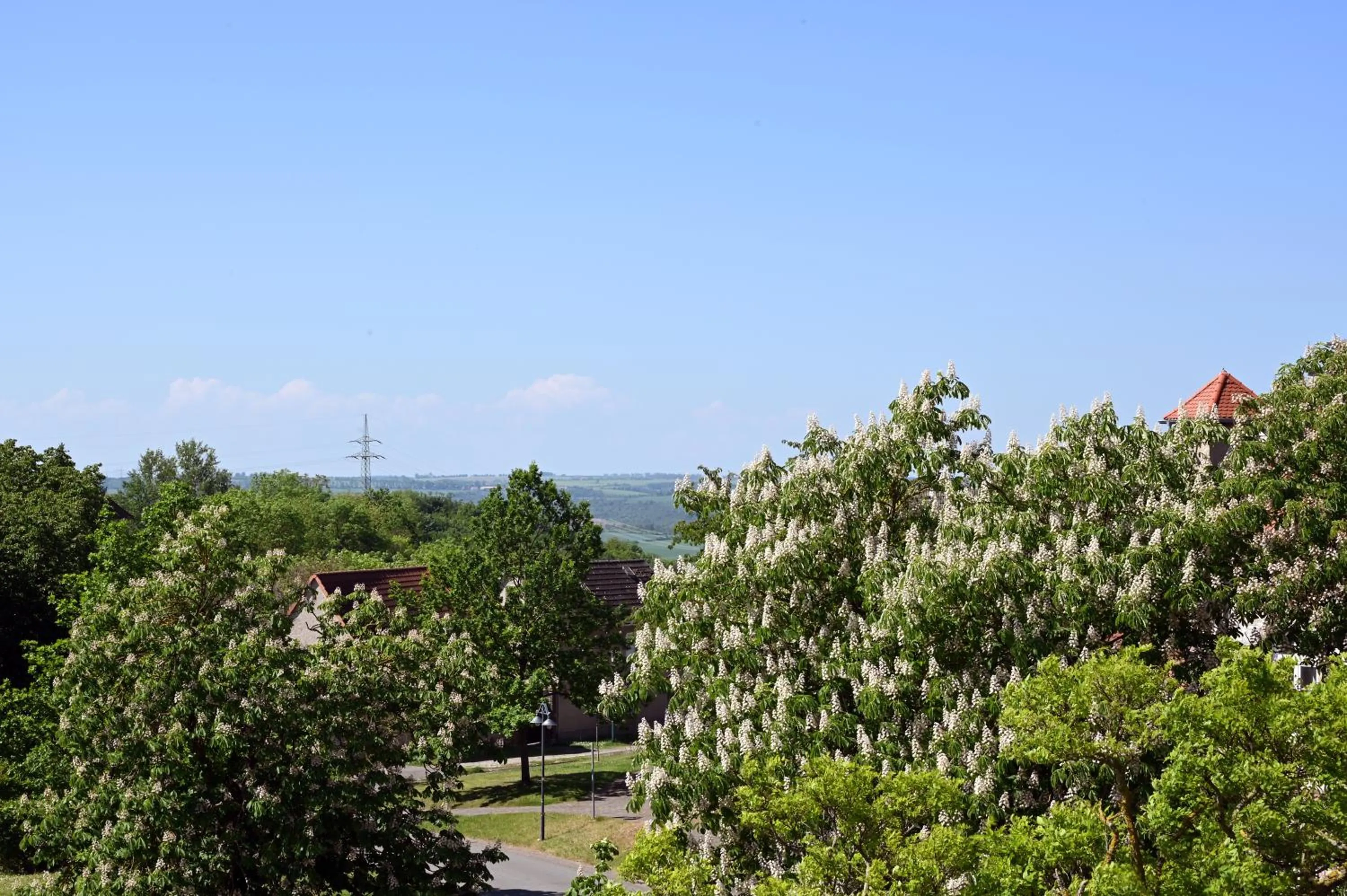 Natural landscape in Motel an der B180