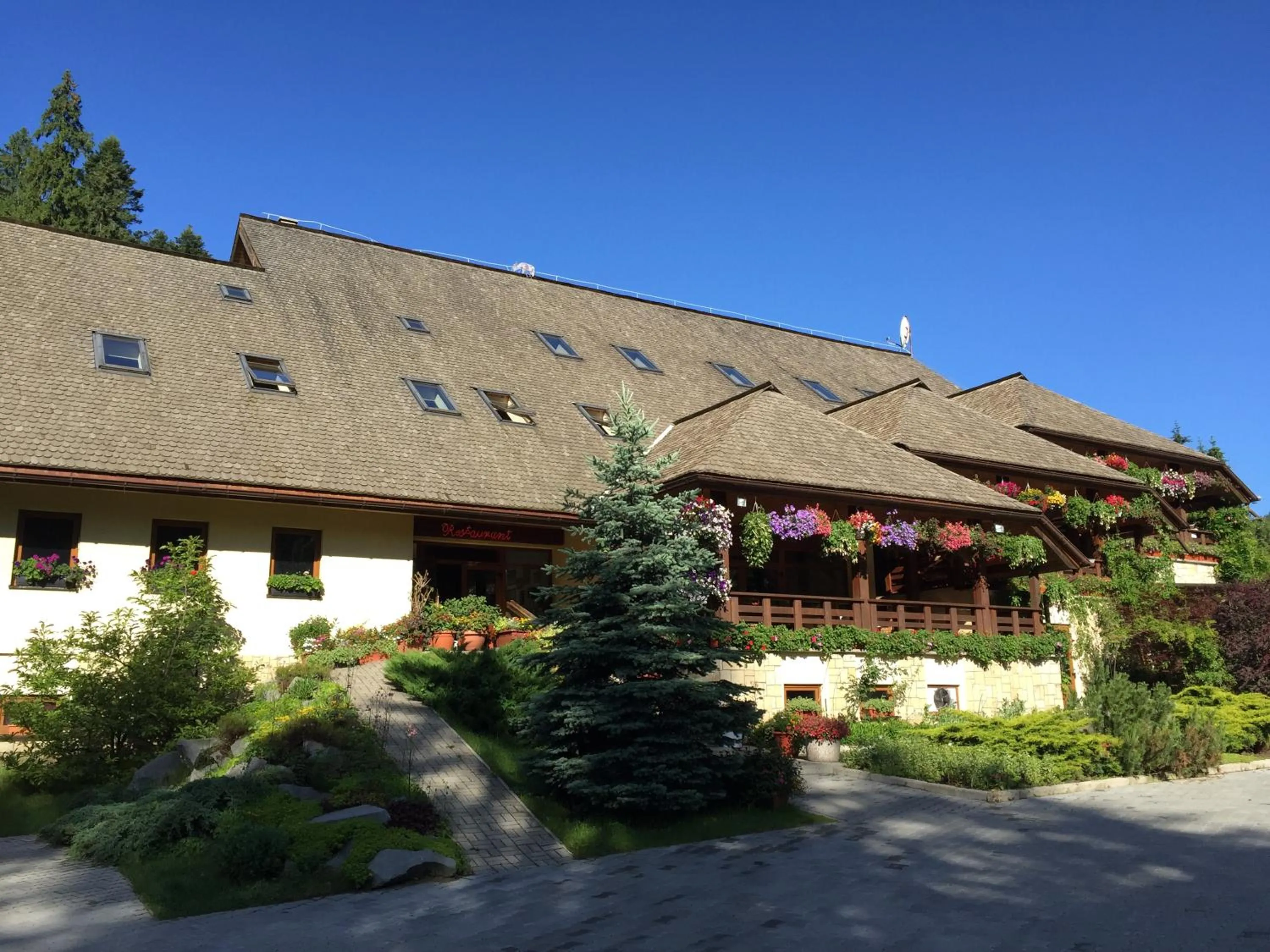 Complex Turistic Bucovina