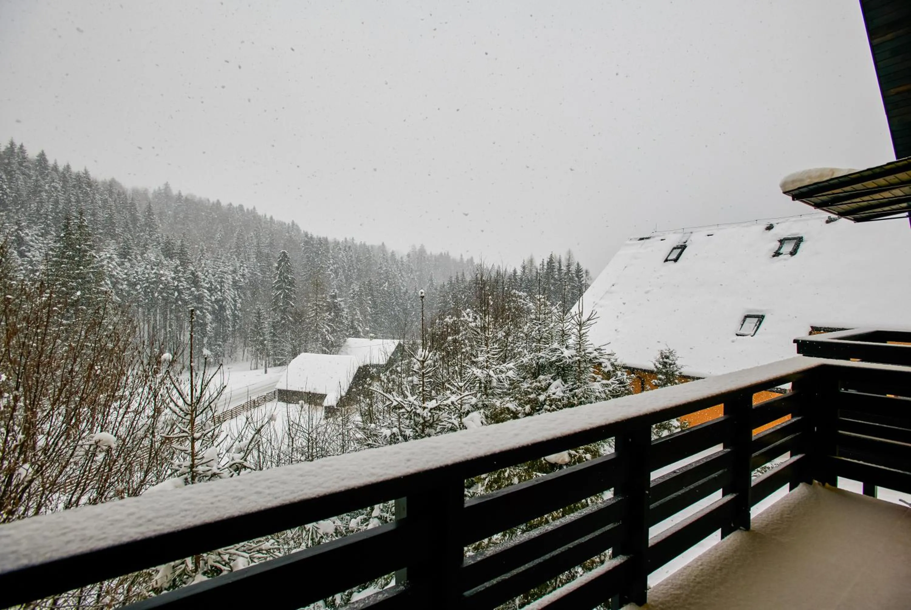 Complex Turistic Bucovina