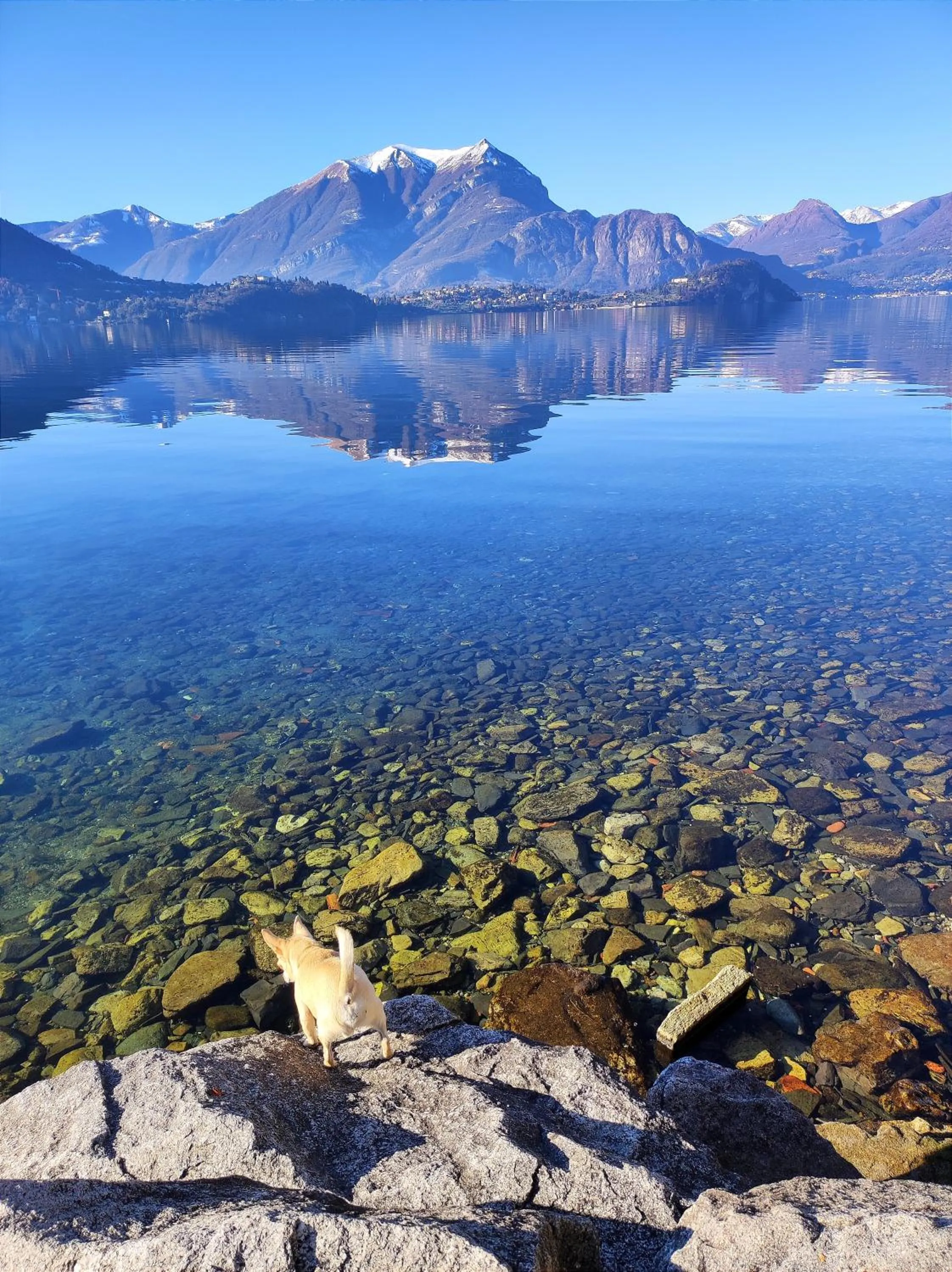 Natural landscape in B&B Le Fate Del Lago