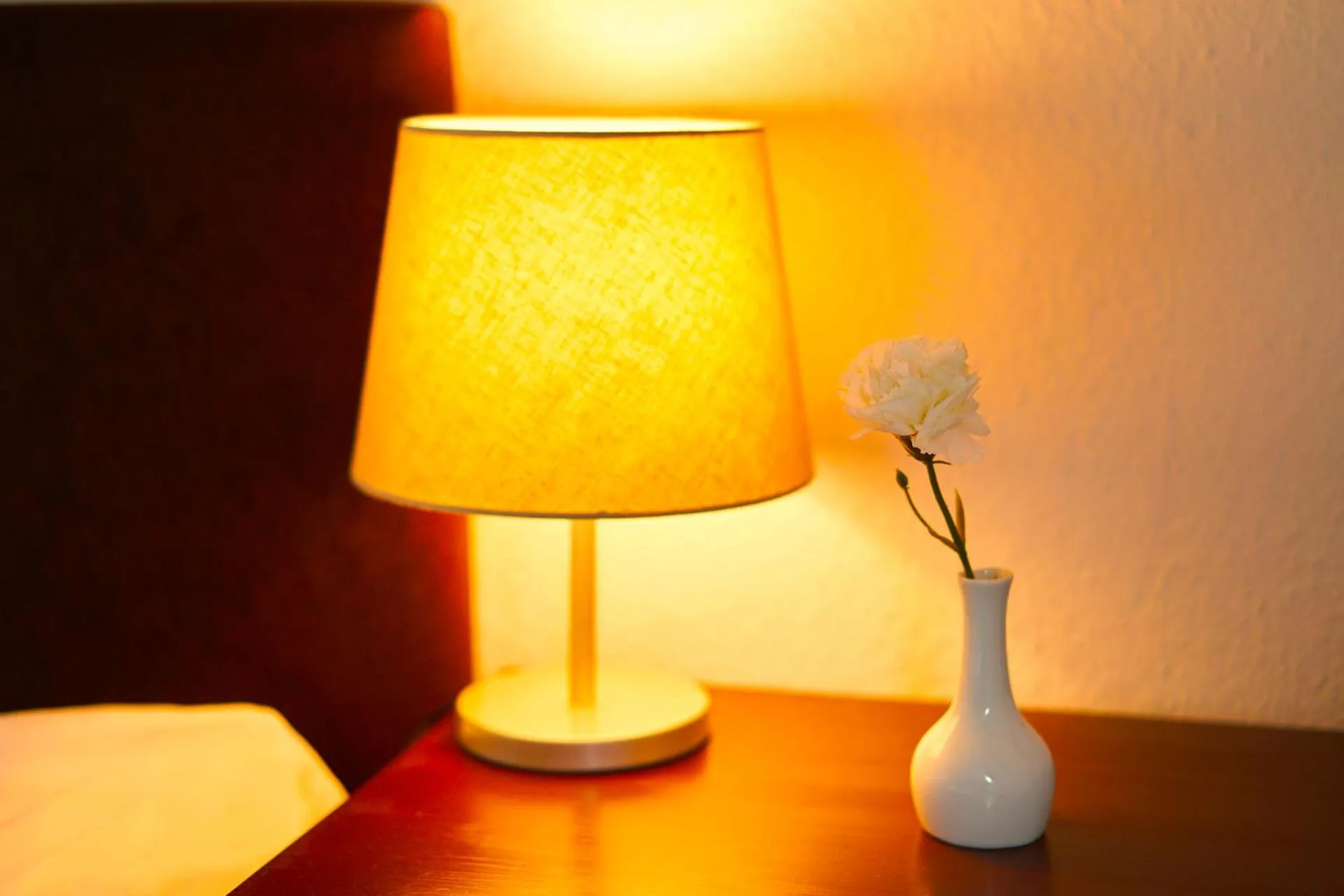 Seating area in Hotel Moguntia