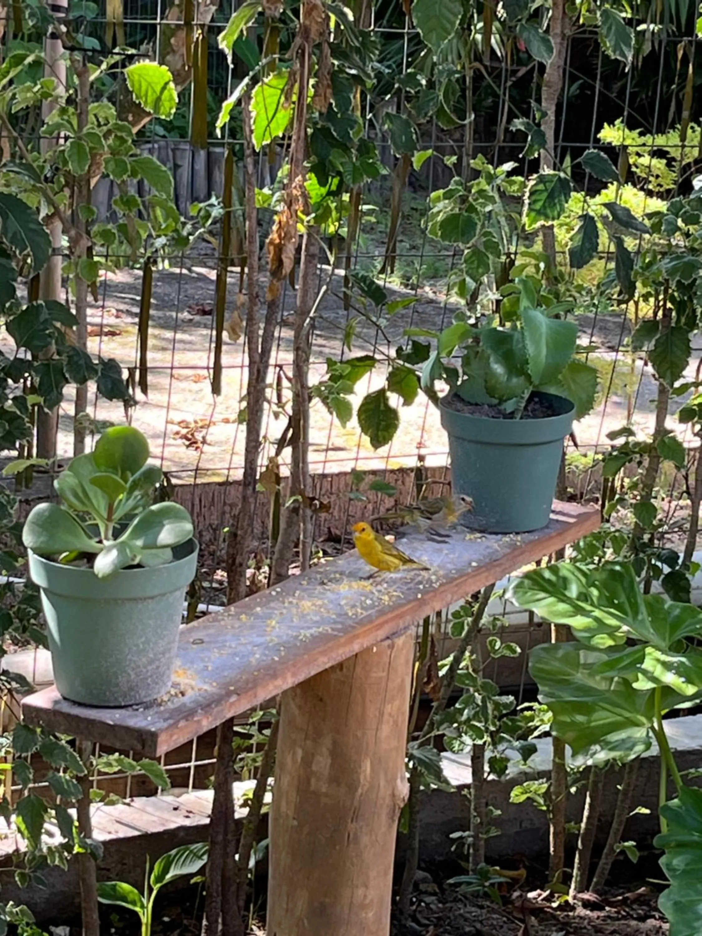 Natural landscape in Pousada Vilarejo