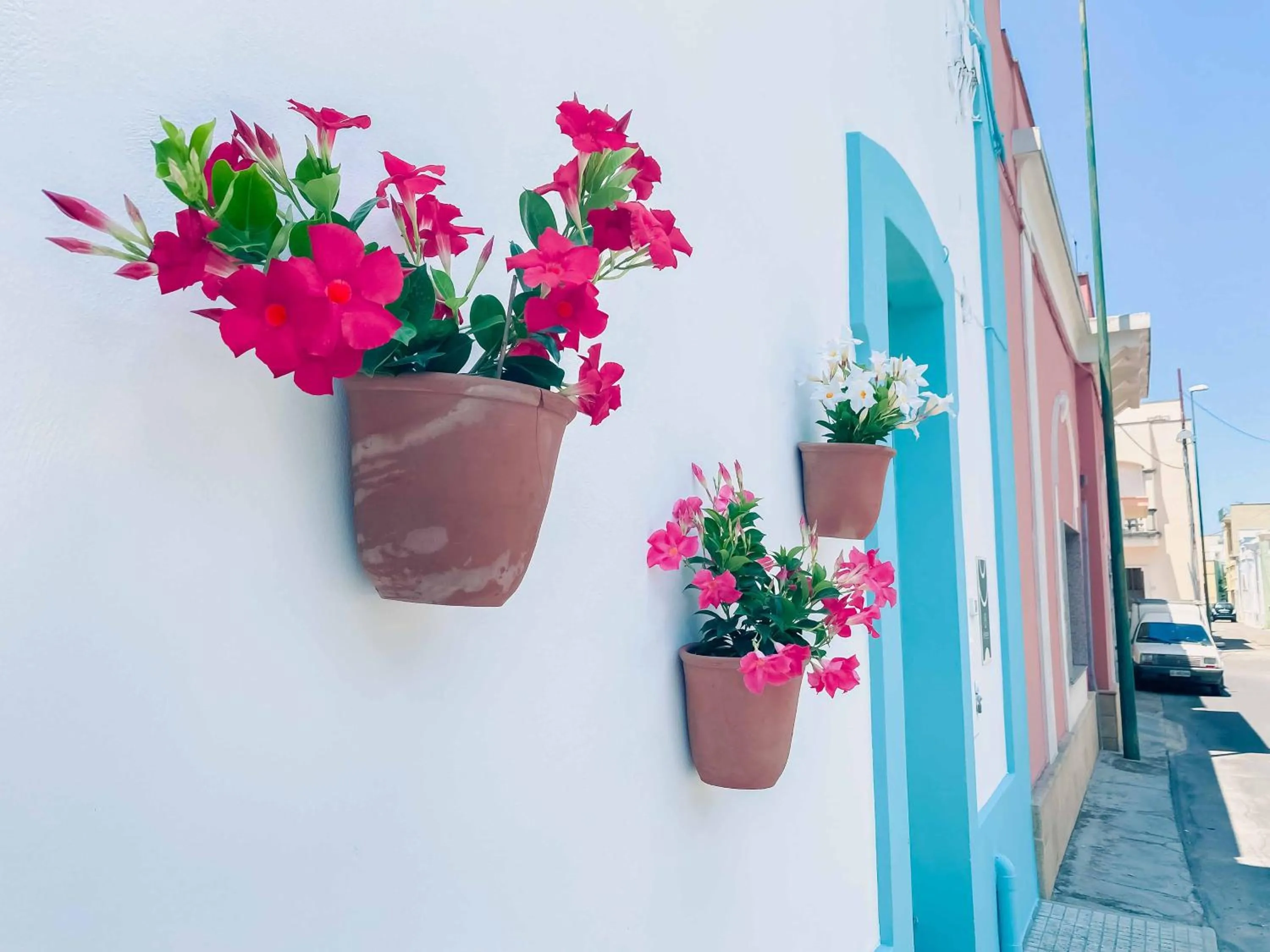 Property building in Cortellenica