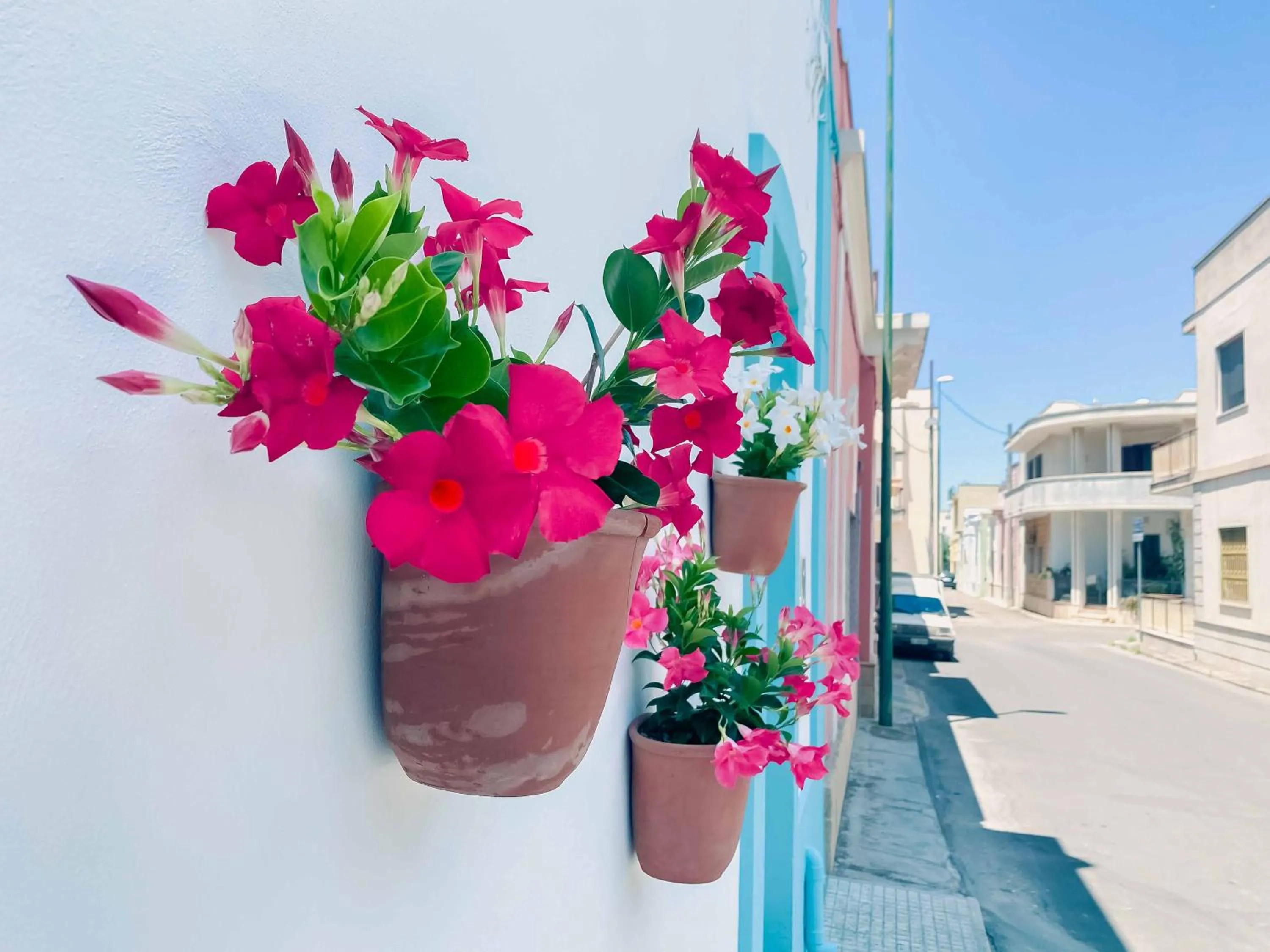 Property building in Cortellenica