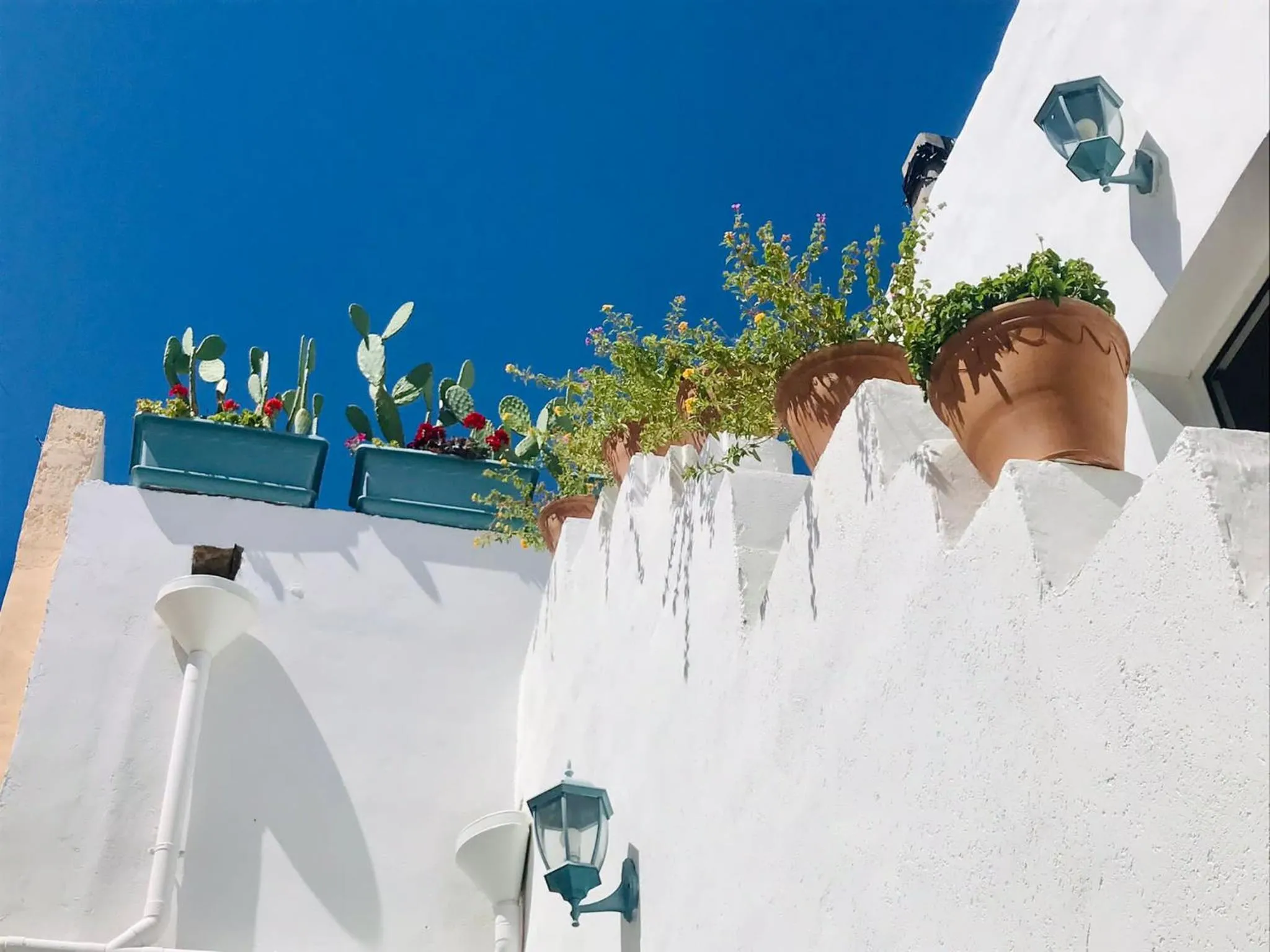 Facade/entrance in Cortellenica