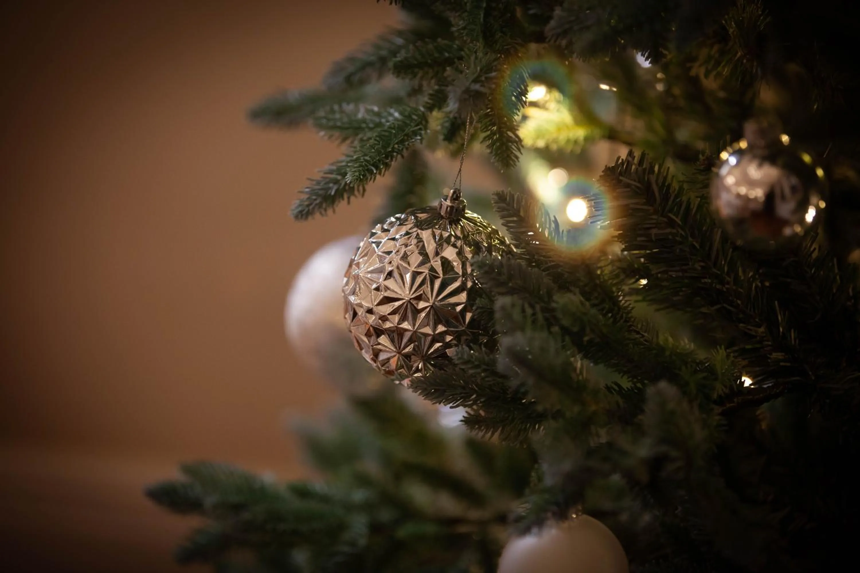 View (from property/room) in The Dower House Hotel