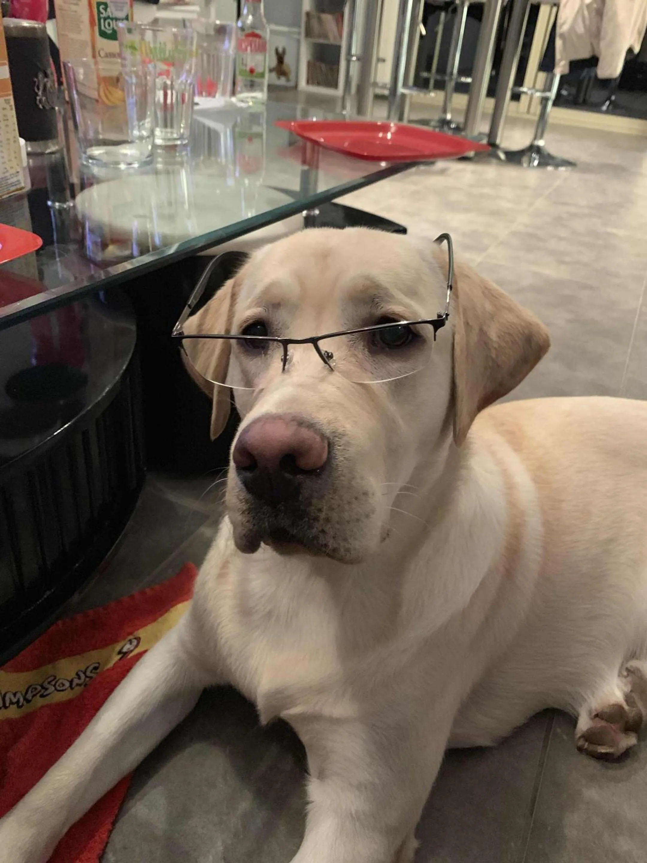 Other in Maison Piscine et Jacuzzi