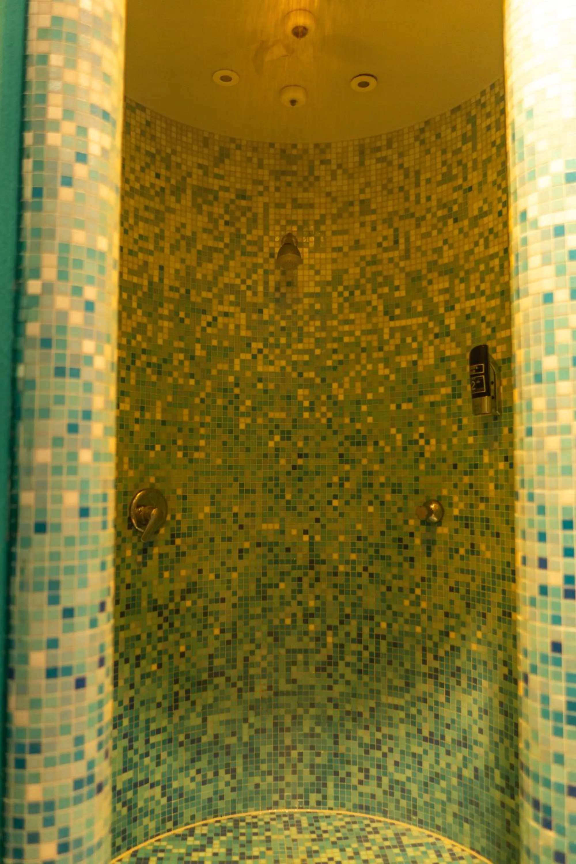 Spa and wellness centre/facilities in Parkhotel Waldschlösschen