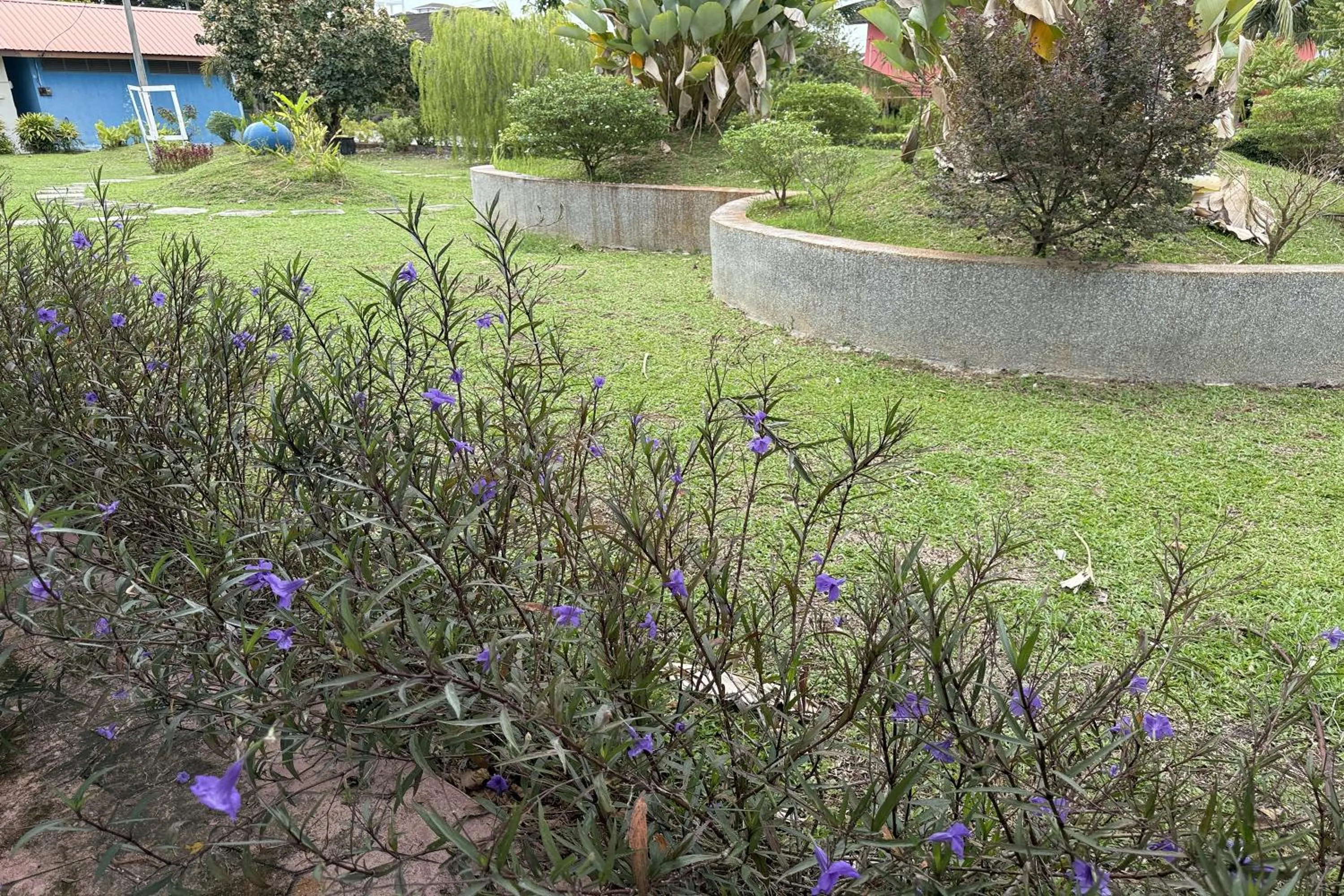 Garden in Inapan Taman Herba