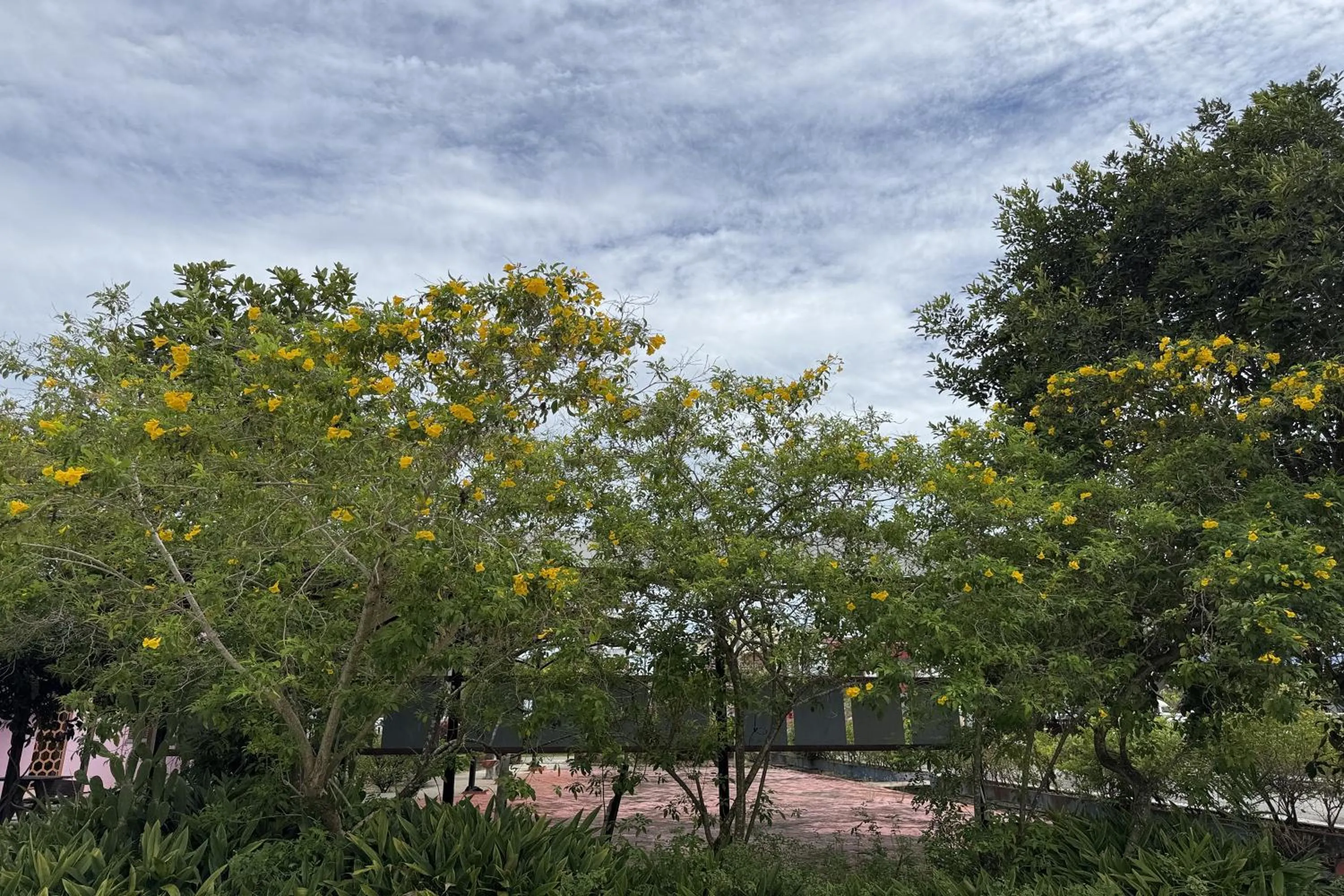 Garden view in Inapan Taman Herba