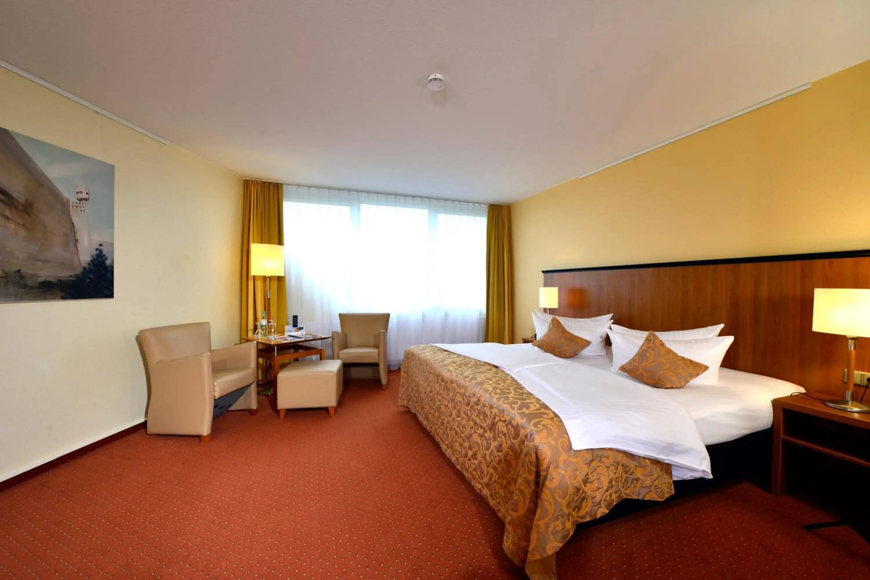 Superior Double Room with Basel or Mountain View (free mini-bar) in Carathotel Basel/Weil am Rhein Superior Double Room with Basel or Mountain View (free mini-bar) in Carathotel Basel/Weil am Rhein