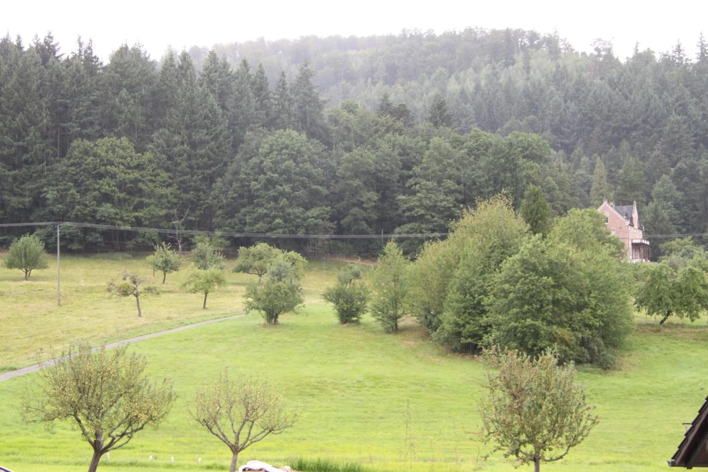 Area and facilities in Gästehaus Alexanna