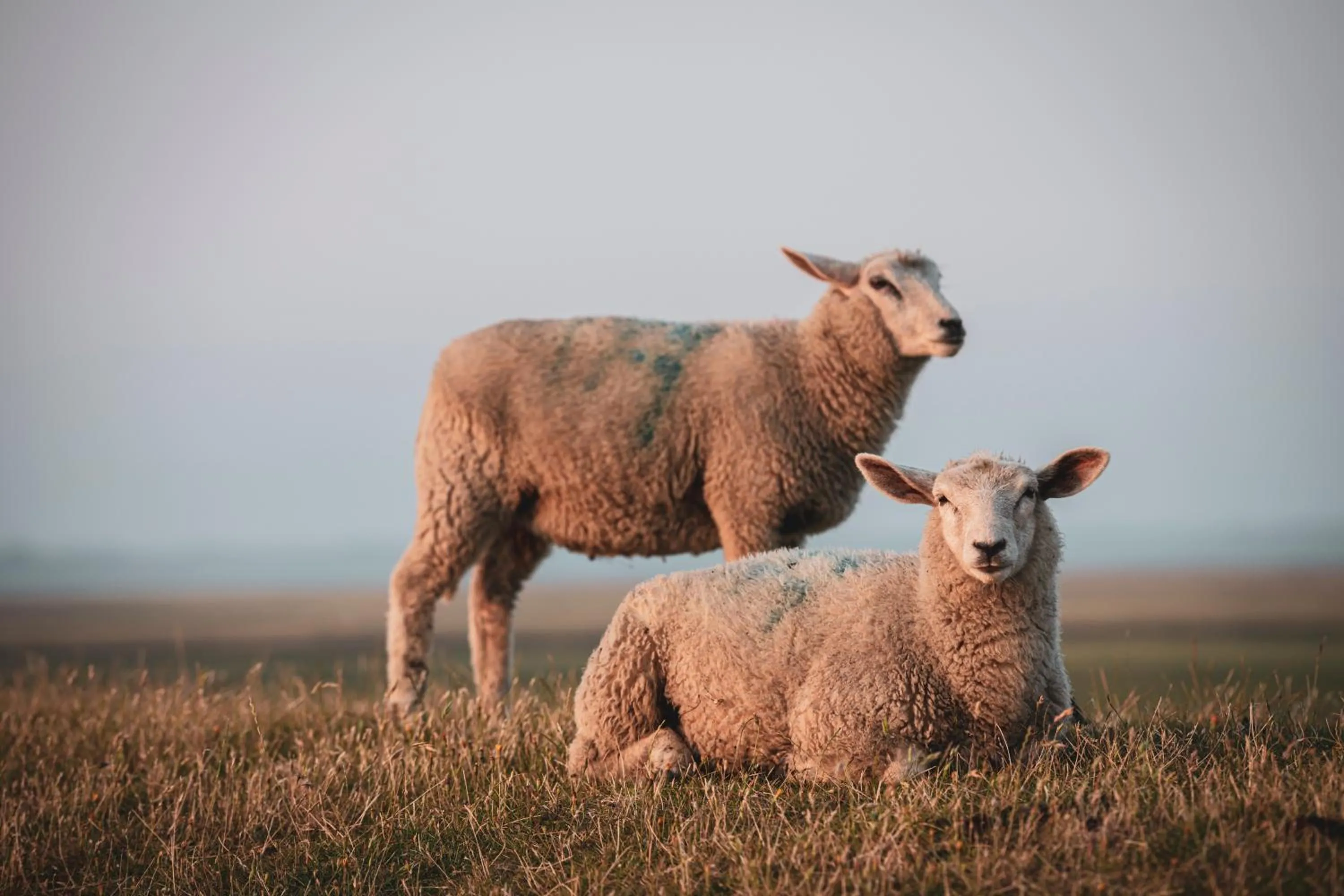 Staff in Kirchspielkrug Landhotel & Restaurant