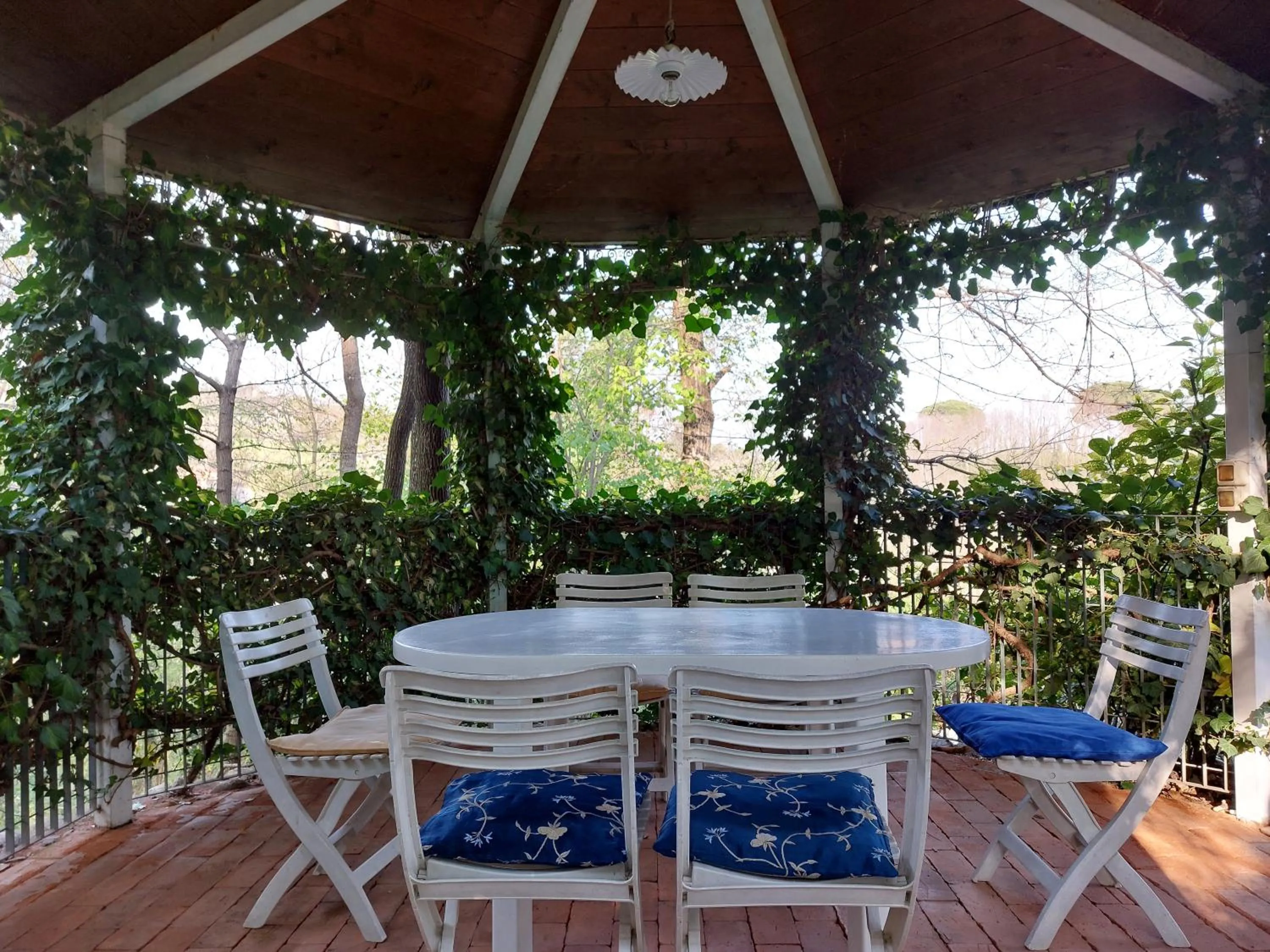 Day in La Collina delle Acacie