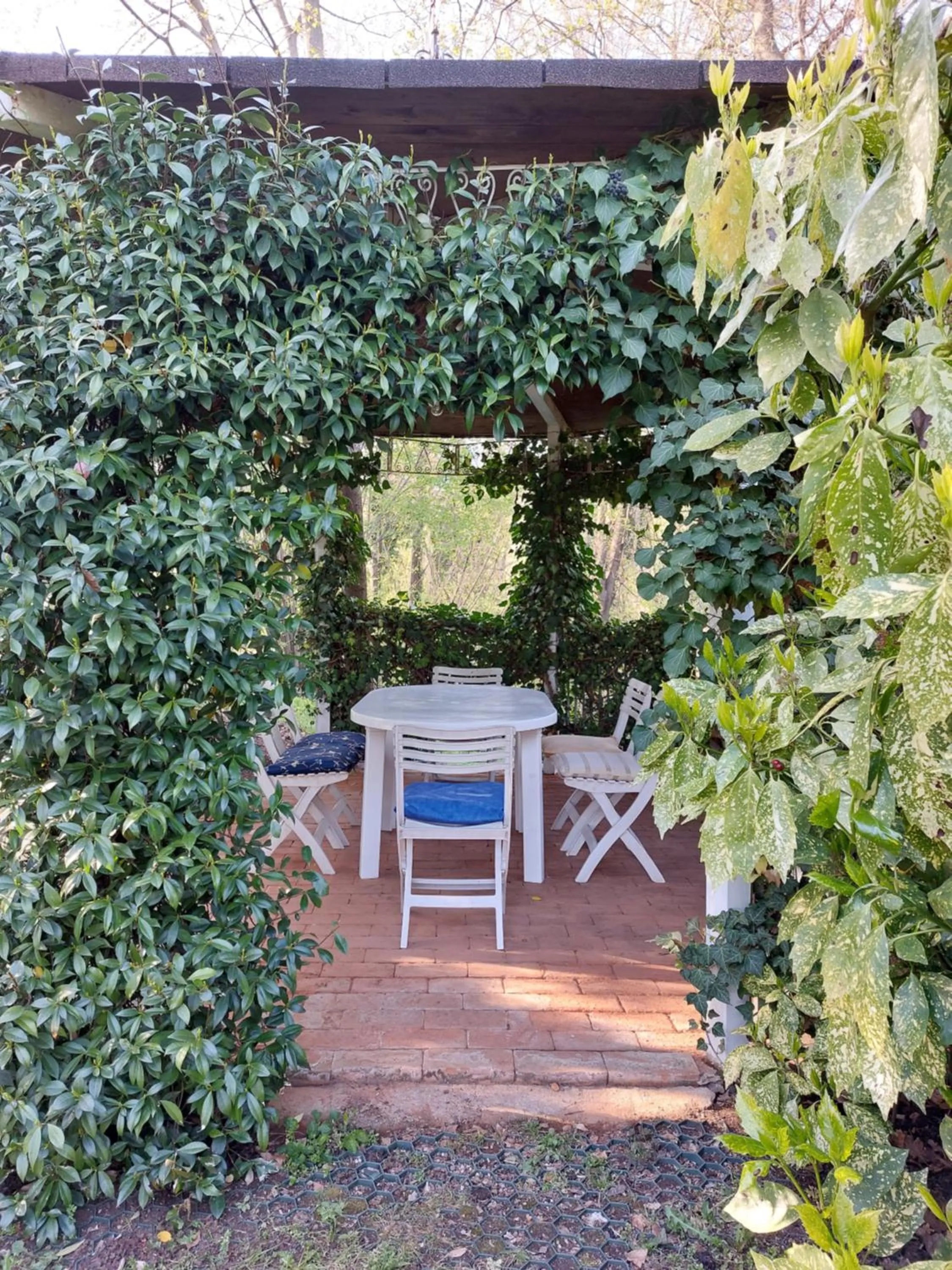 Day in La Collina delle Acacie