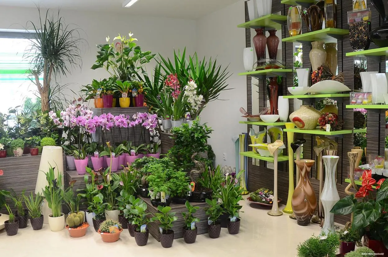 Other in Hotel Bélier