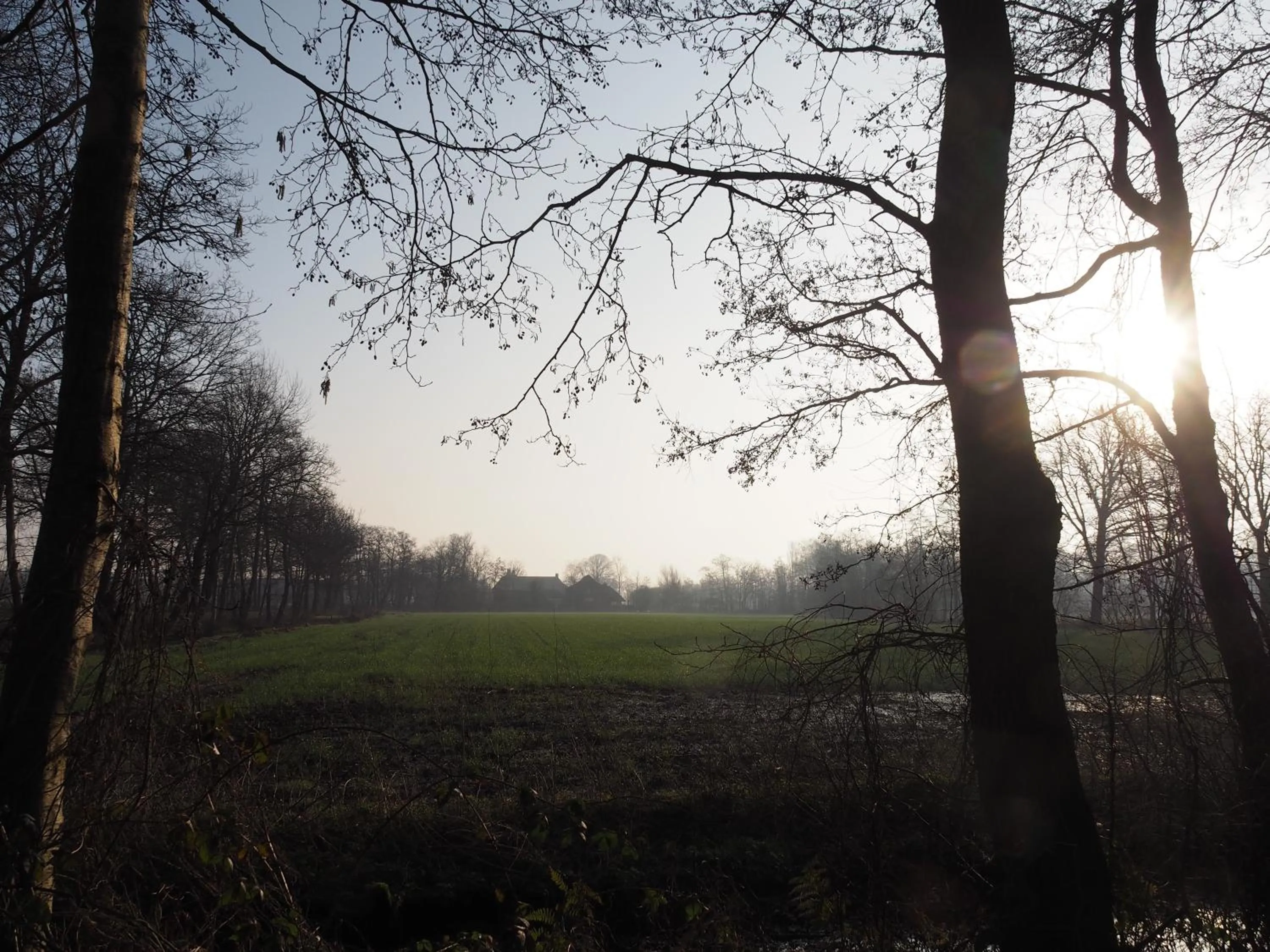 Neighbourhood in Bed & Brochje Burgum