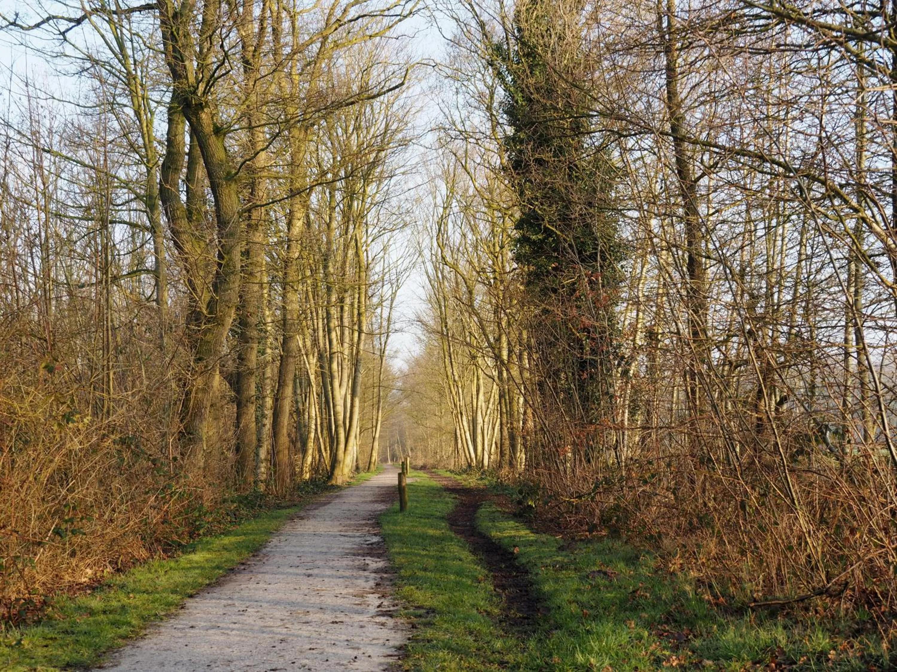 Neighbourhood in Bed & Brochje Burgum