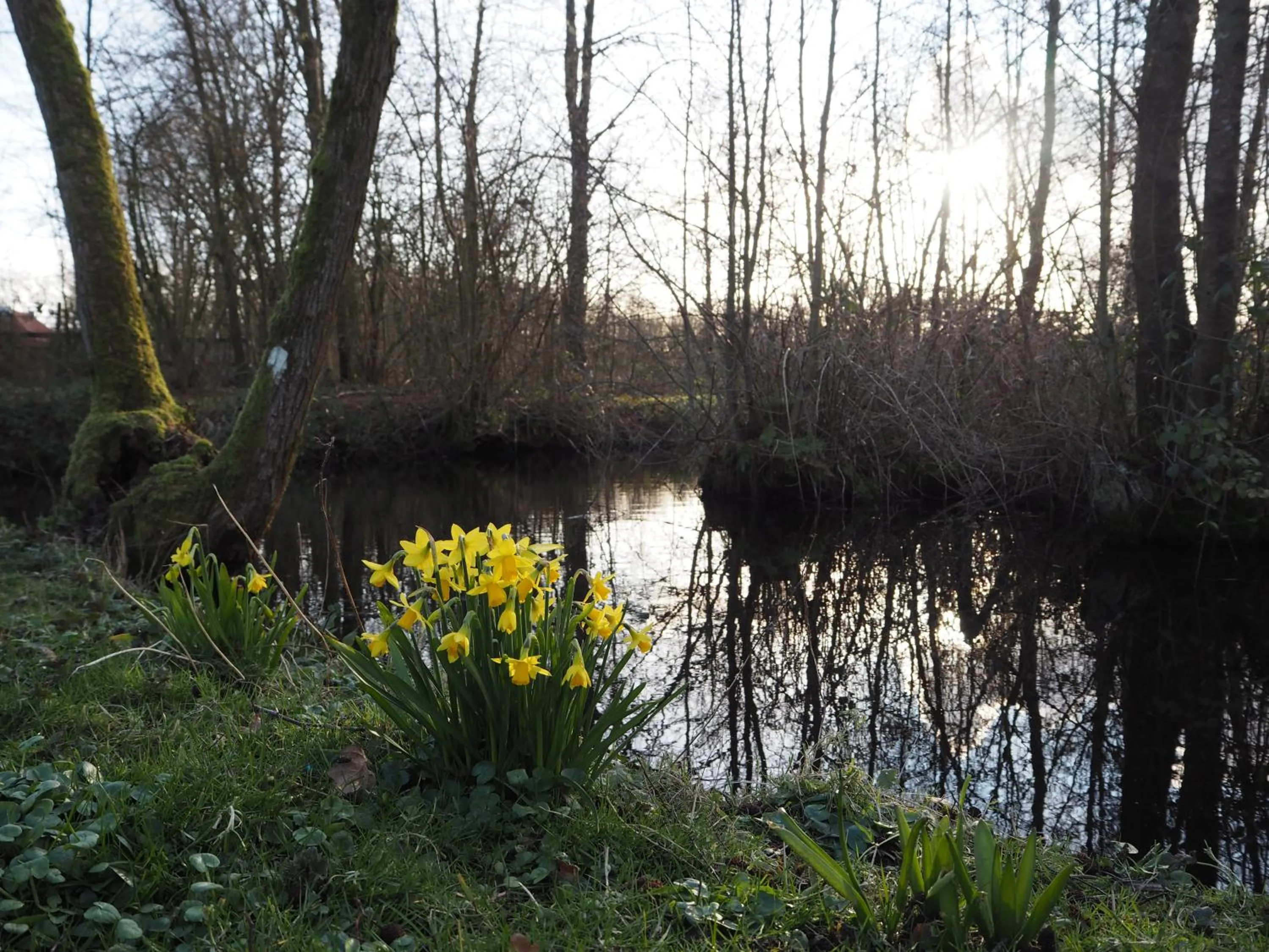 Garden view in Bed & Brochje Burgum