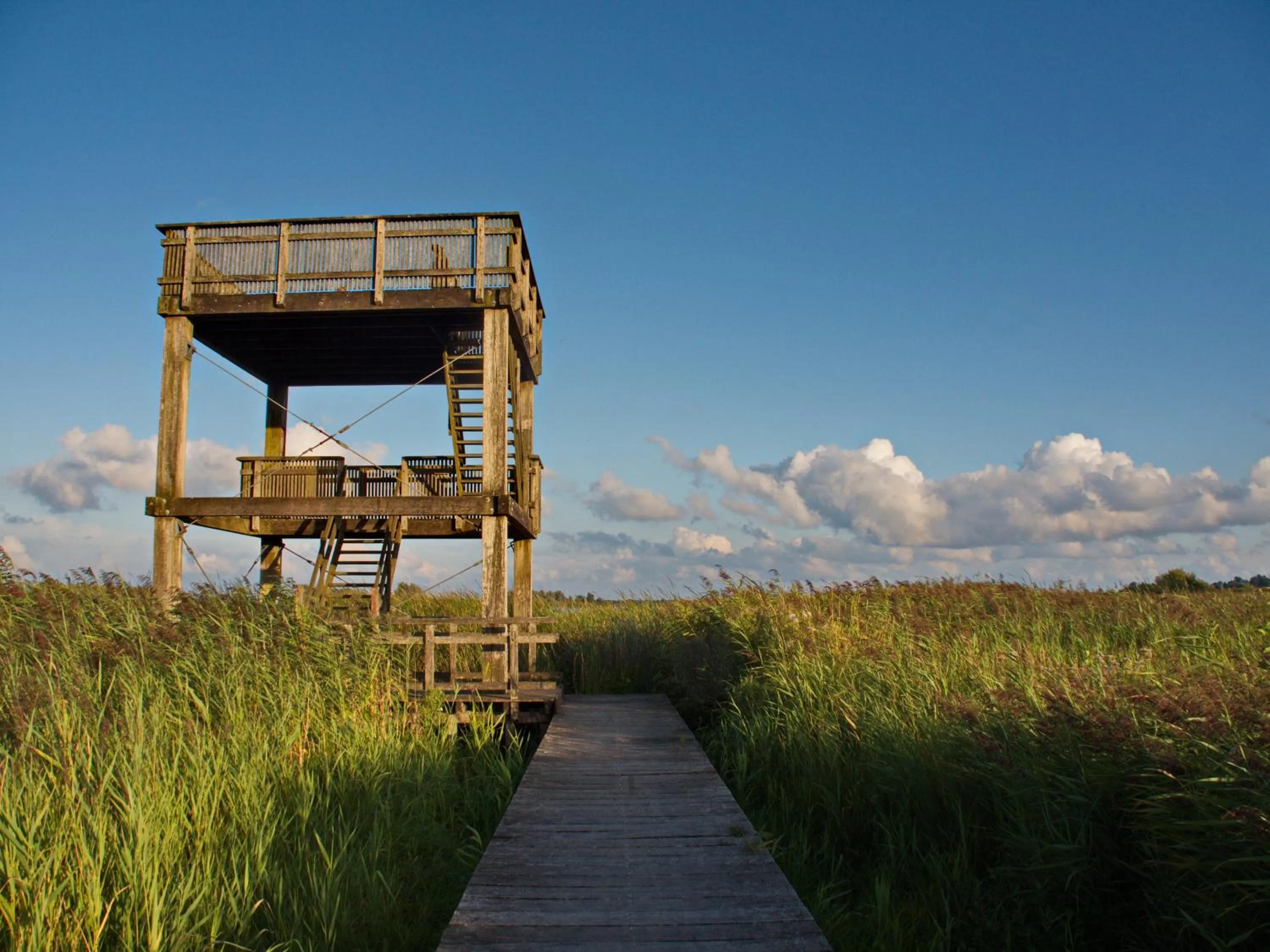 Area and facilities in Bed & Brochje Burgum
