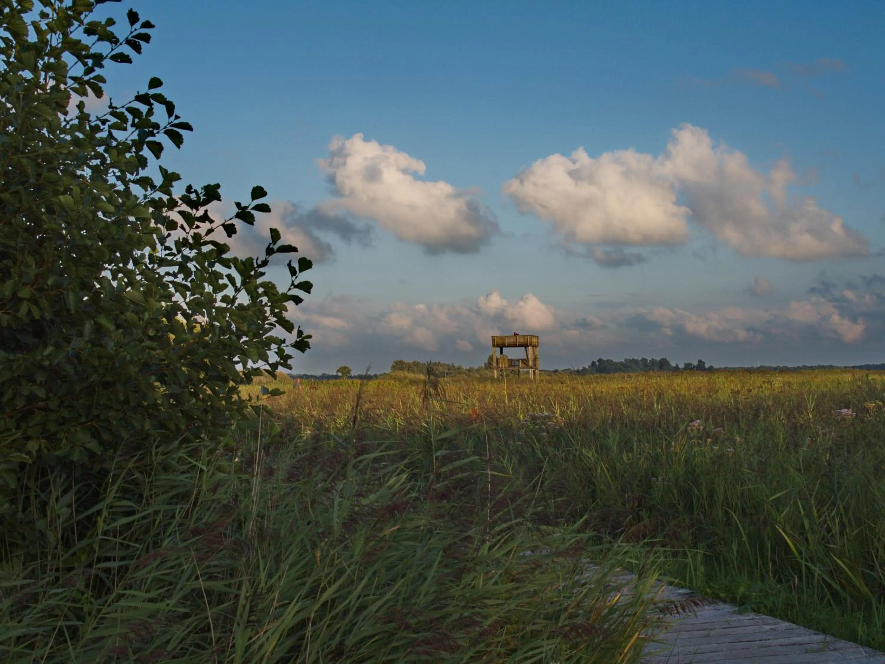 Area and facilities in Bed & Brochje Burgum