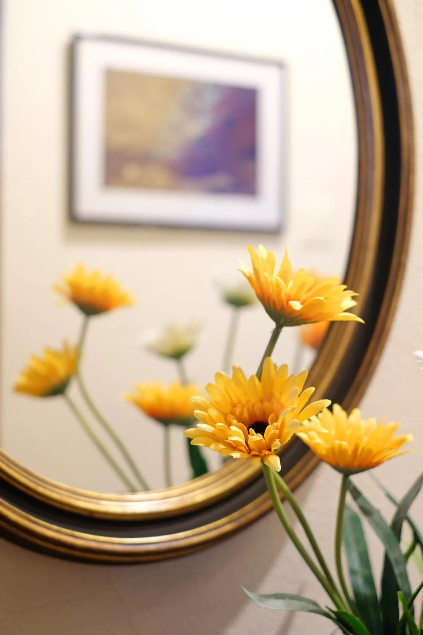 Area and facilities in AmendoeirasHouse-SustainableLiving