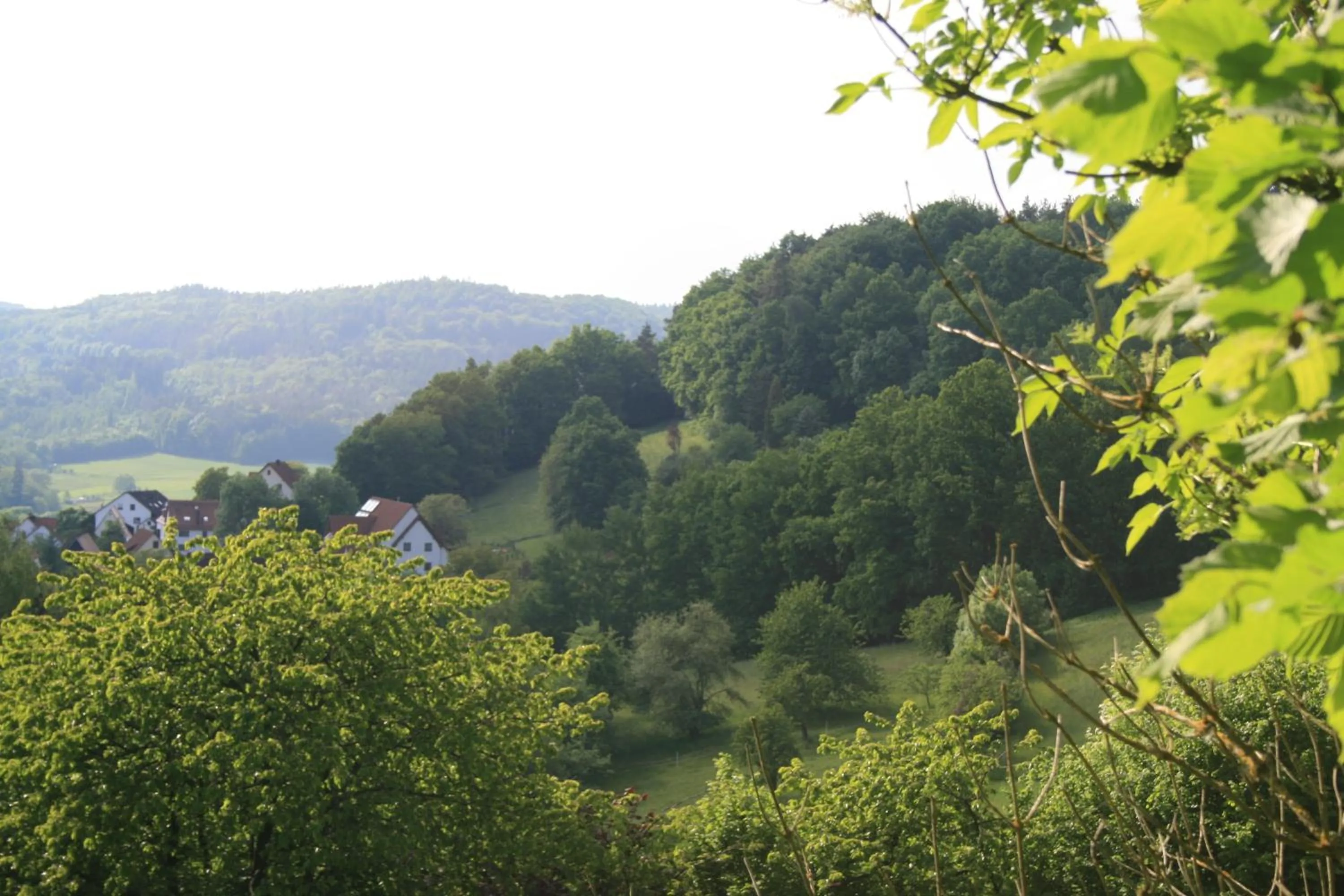 Area and facilities in Landidyll Hotel Zum Alten Schloss