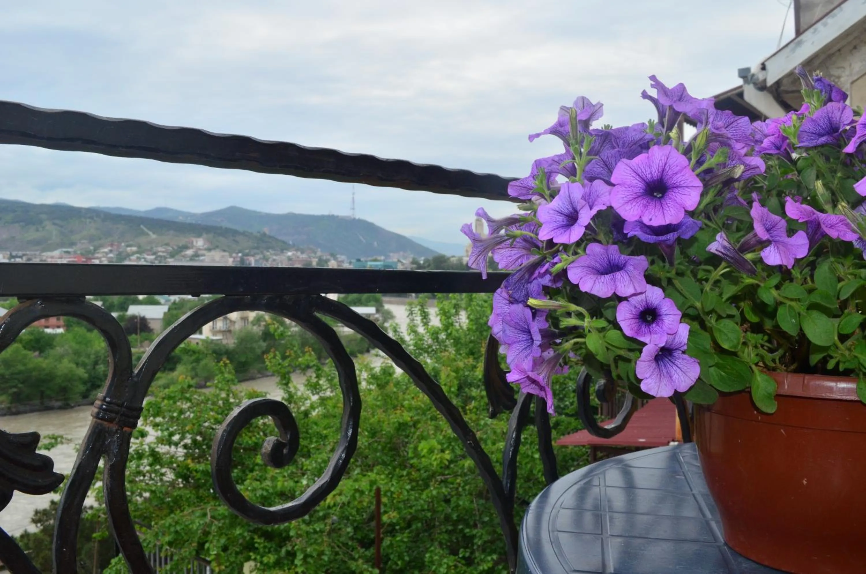 Balcony/Terrace in Hotel RichI G A