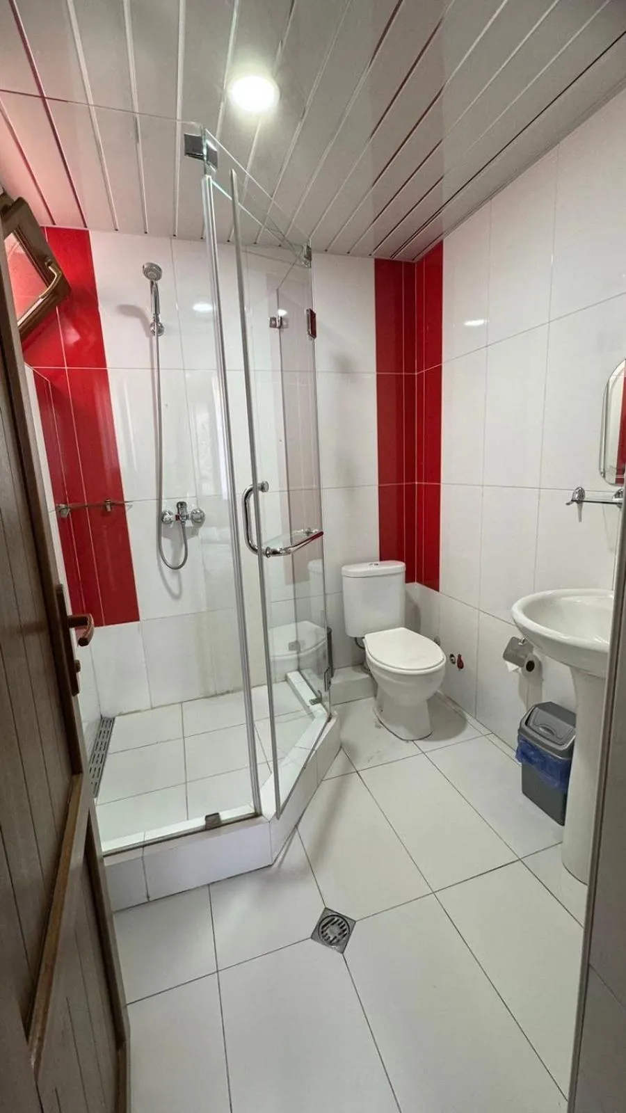 Shower in Hotel RichI G A