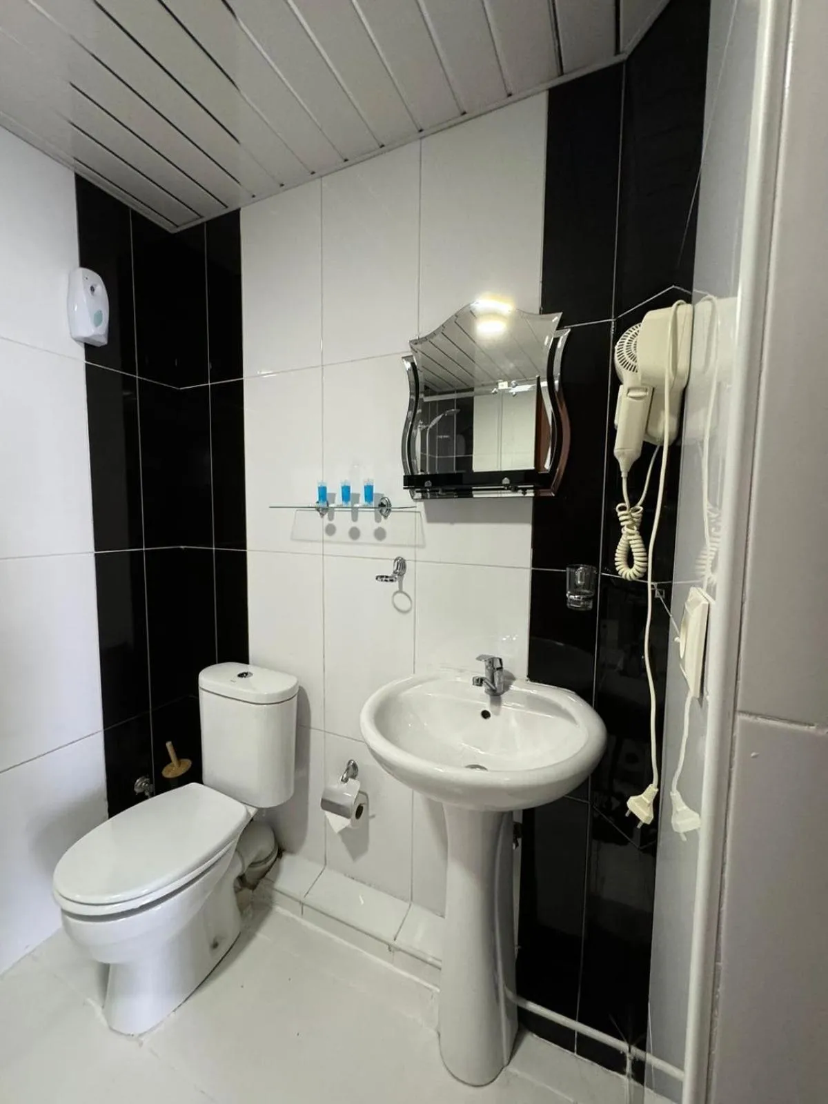 Shower in Hotel RichI G A