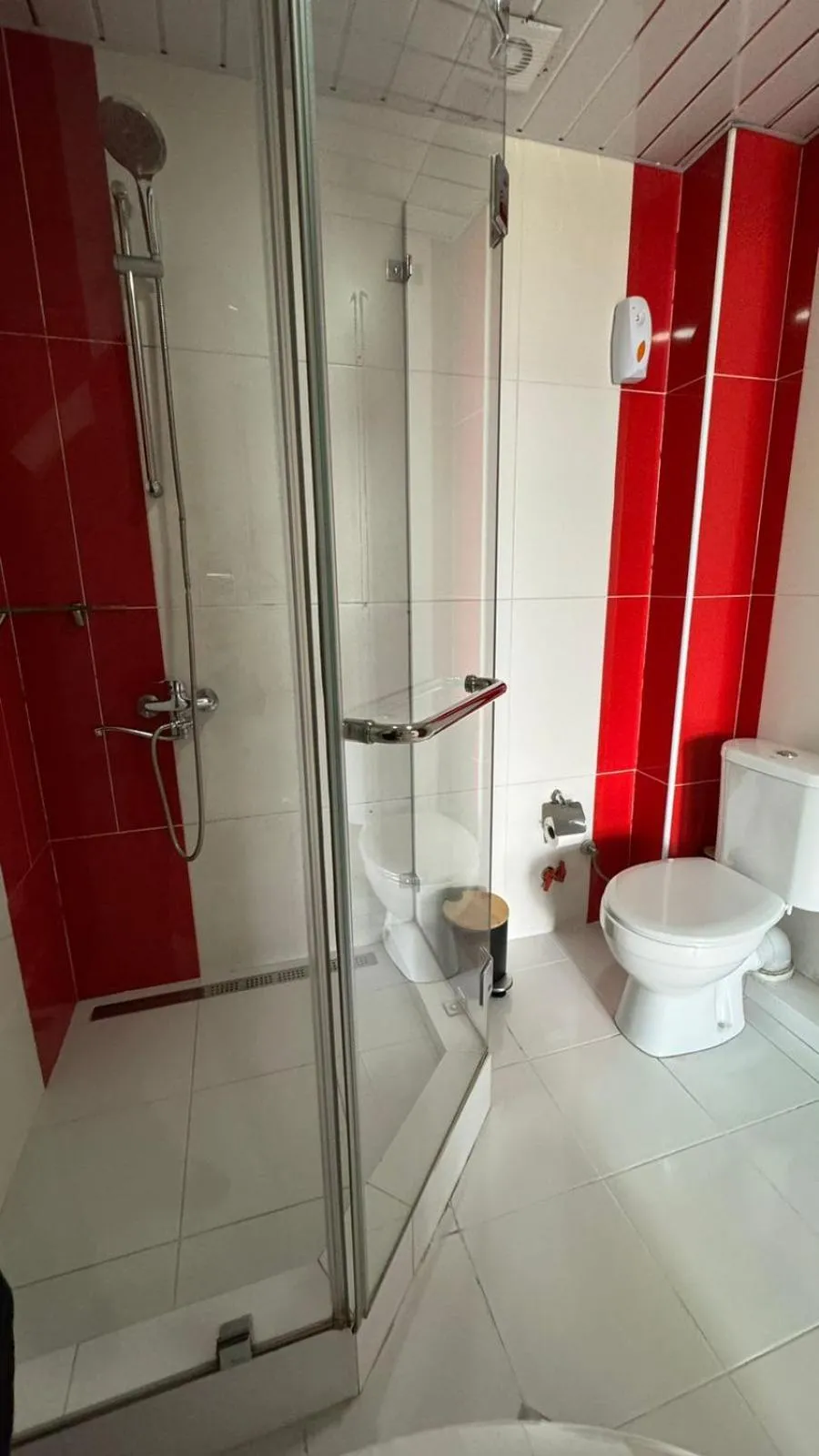 Shower in Hotel RichI G A