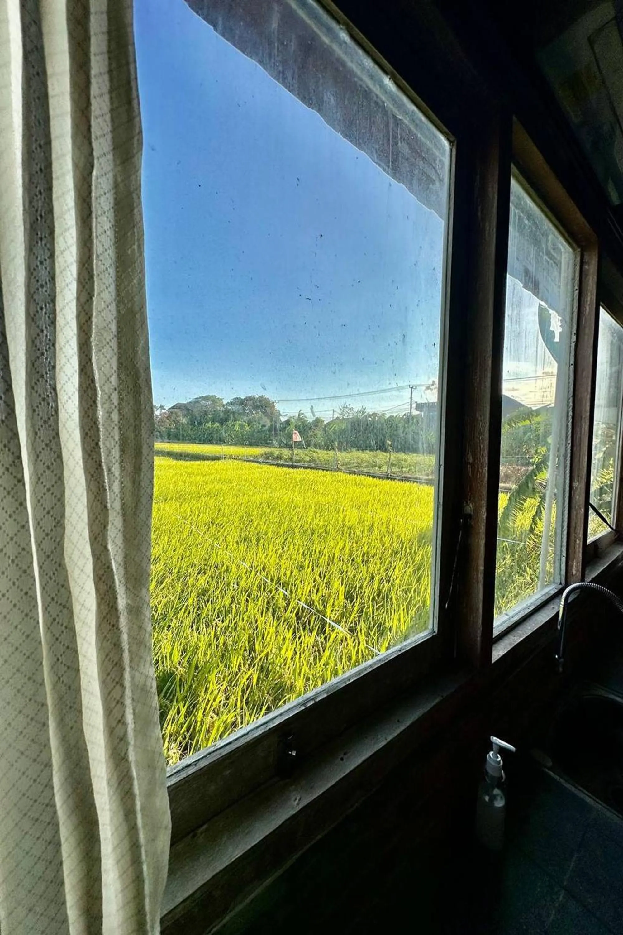 Natural landscape in Bali Eco Living Yoga Healing Meditation and Retreat Center