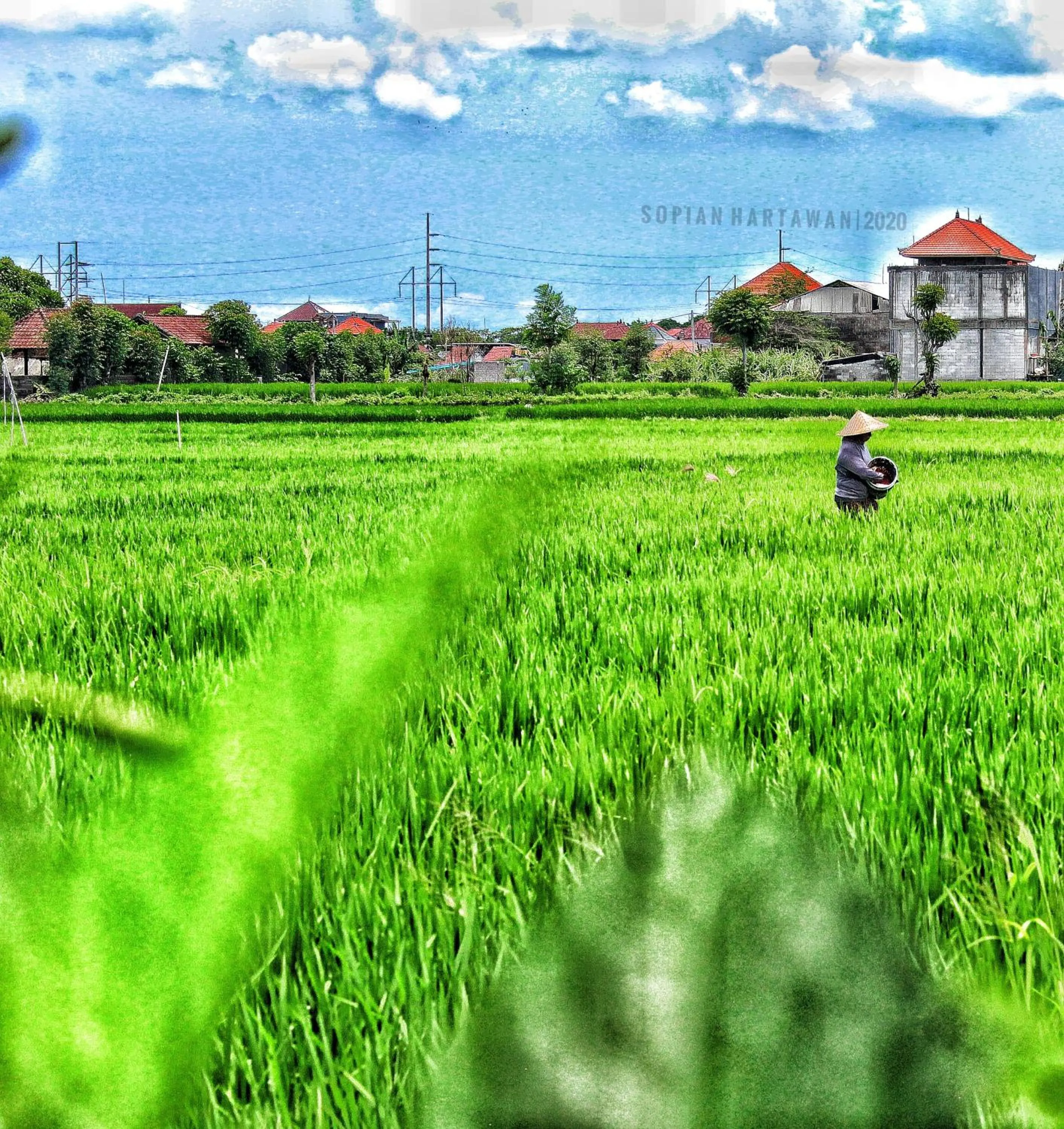 Natural landscape in Bali Eco Living Yoga Healing Meditation and Retreat Center