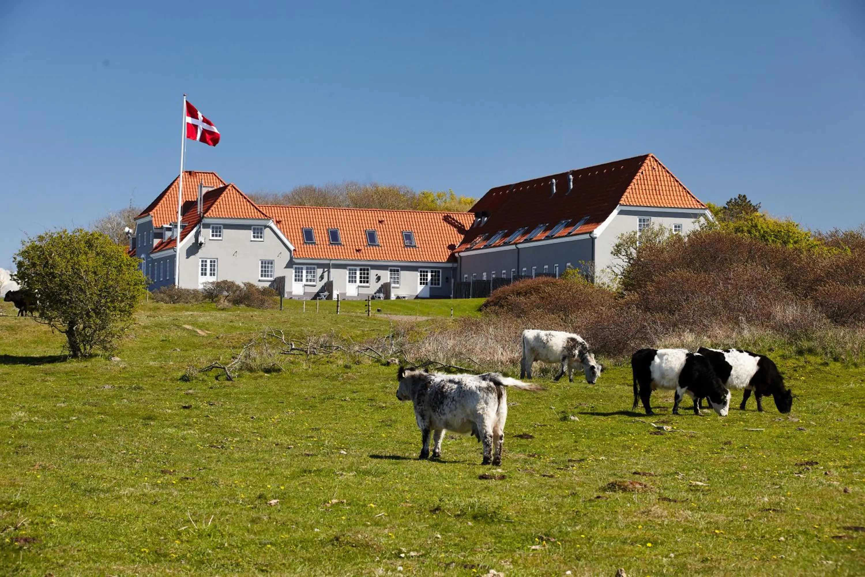 King Suite with Sea View in Hotel Nor - Badehotellet