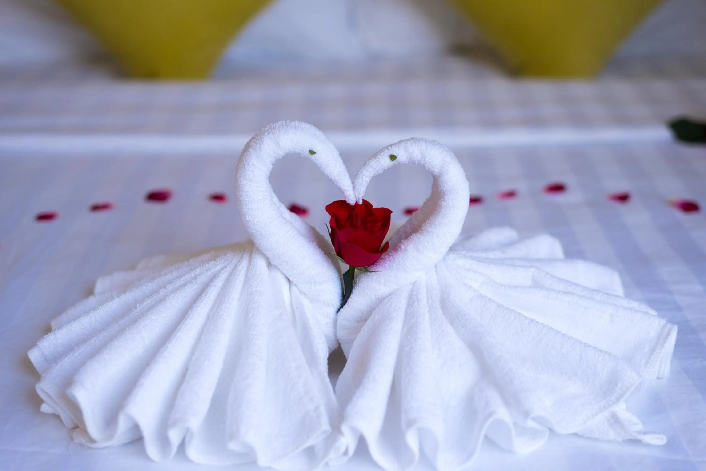 Bedroom, Bed in Lavila Homestay Hoi An