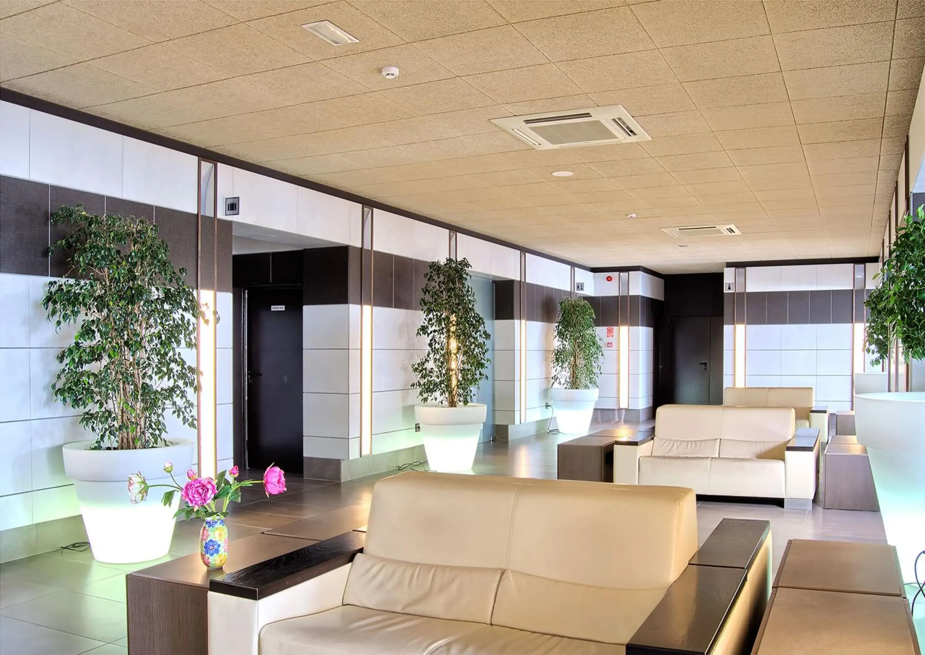 Lobby or reception in Hotel Papi Blau Lobby or reception in Hotel Papi Blau