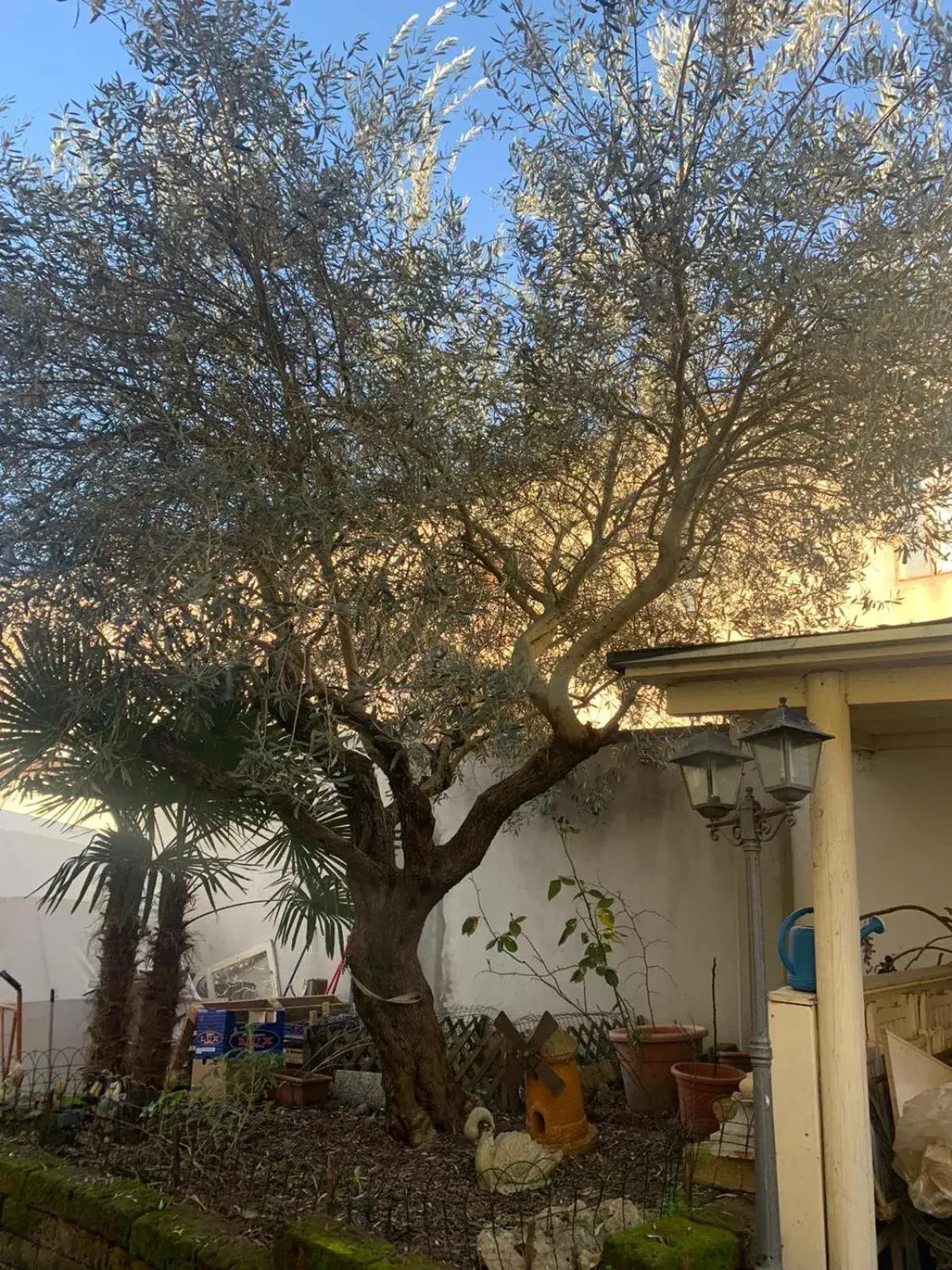 Double Room with Private Bathroom in B&B Dal Fiocinino Double Room with Private Bathroom in B&B Dal Fiocinino