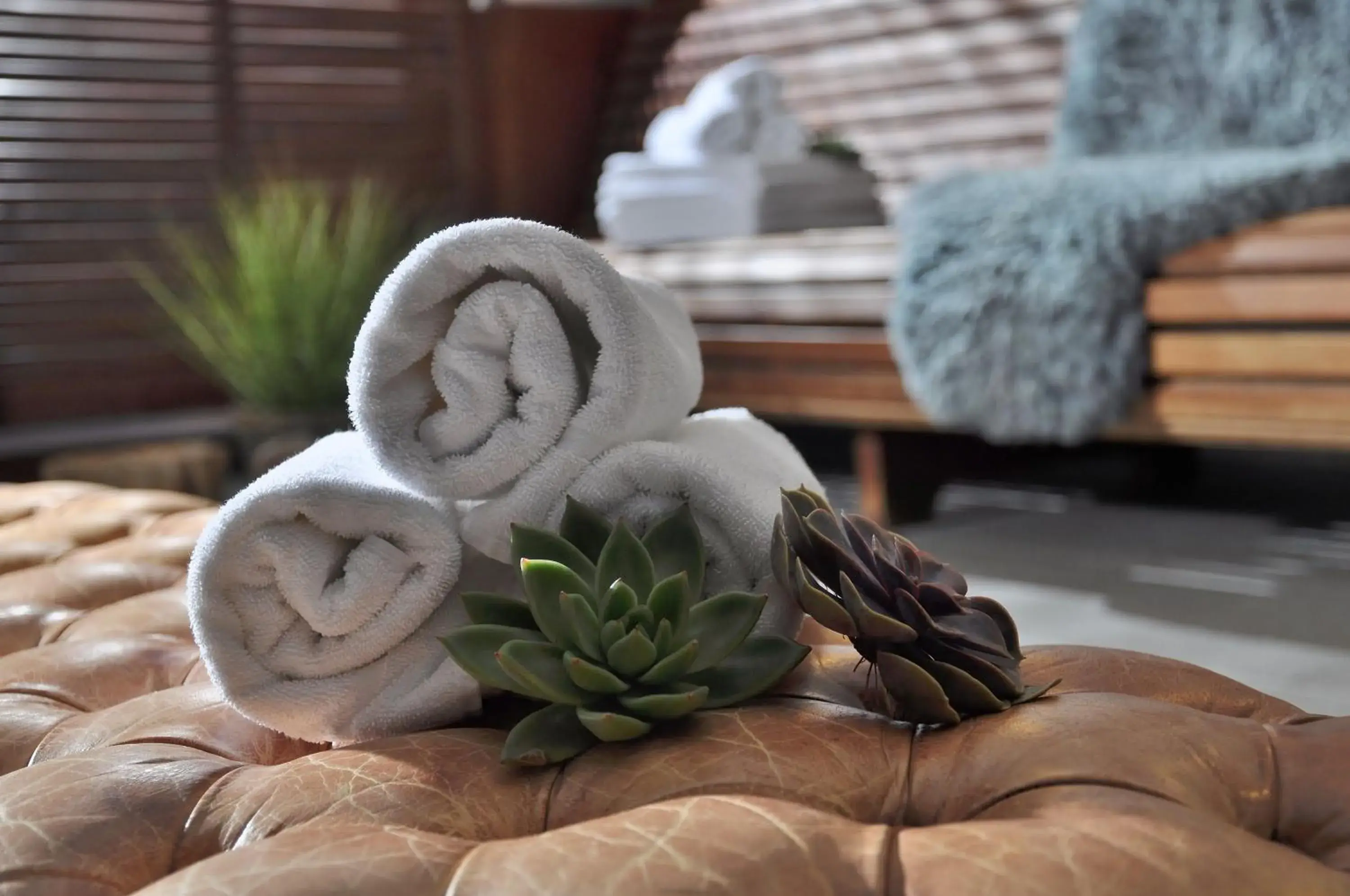 Spa and wellness centre/facilities in Hotel Eggers Hamburg Spa and wellness centre/facilities in Hotel Eggers Hamburg