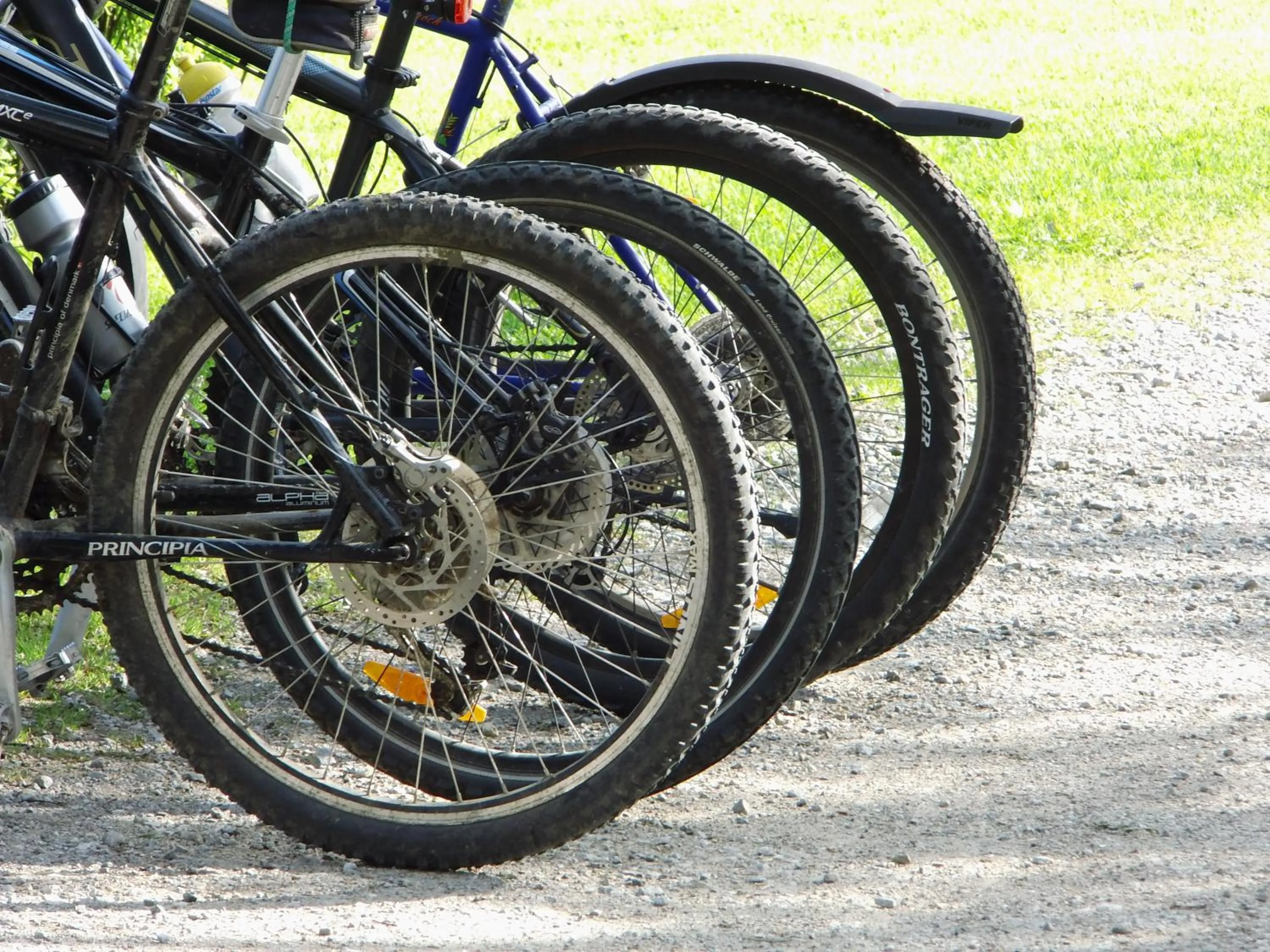 Cycling in relexa hotel Harz-Wald Braunlage