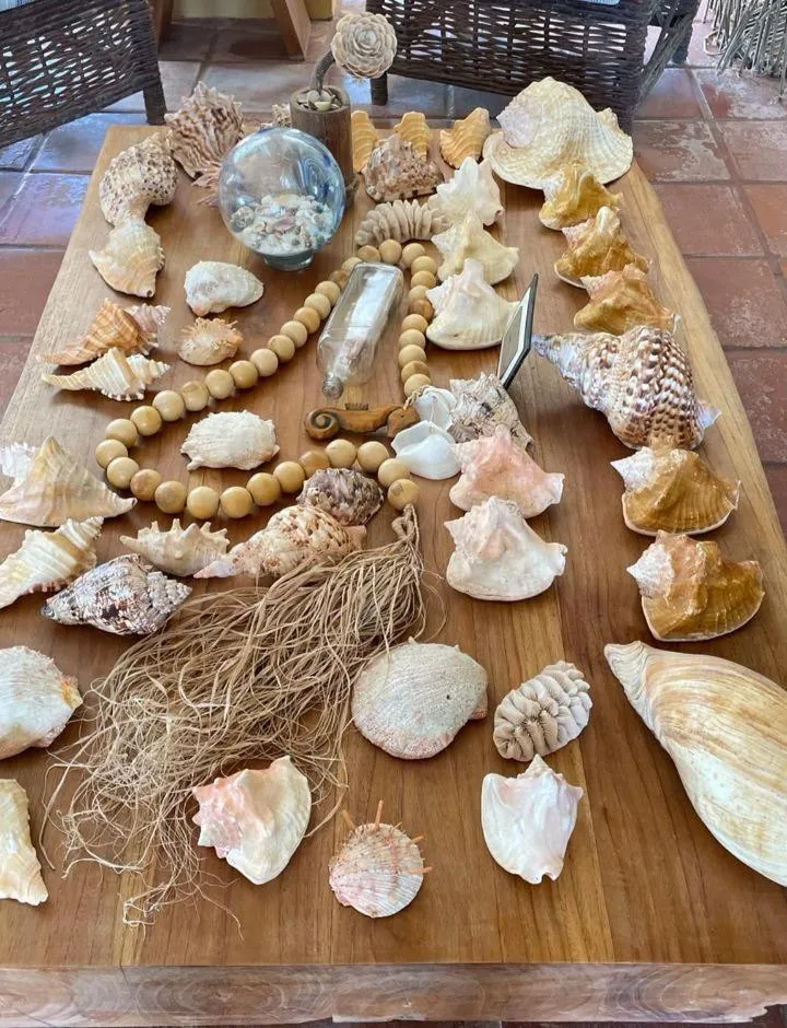 Lobby or reception in Hotel Salinopolis e kitepoint