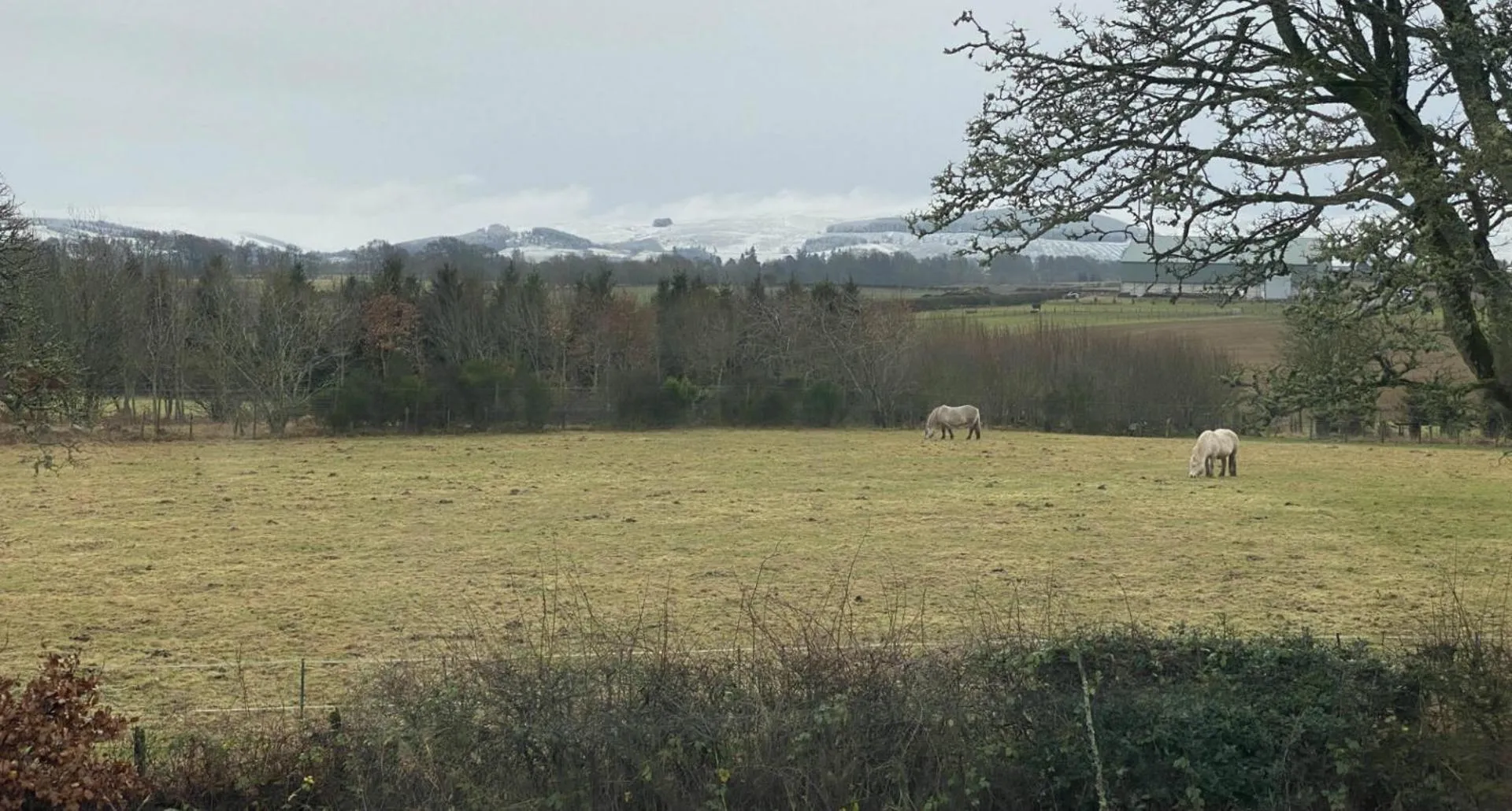 View (from property/room) in The Forge Bed & Breakfast