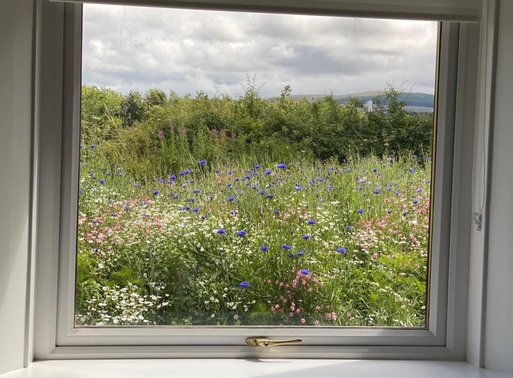Garden view in The Forge Bed & Breakfast