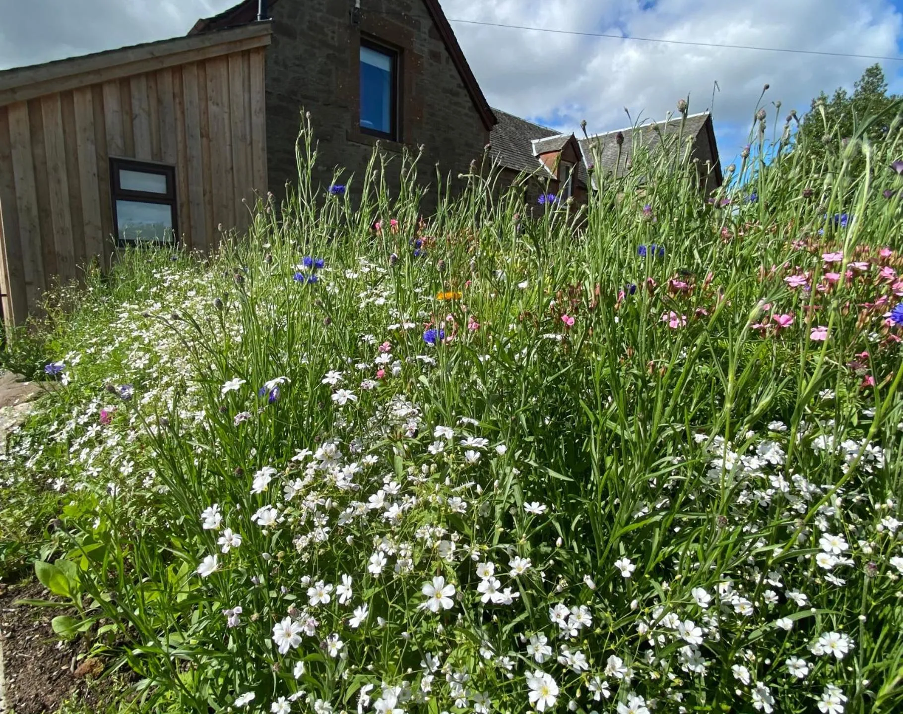 Property building in The Forge Bed & Breakfast