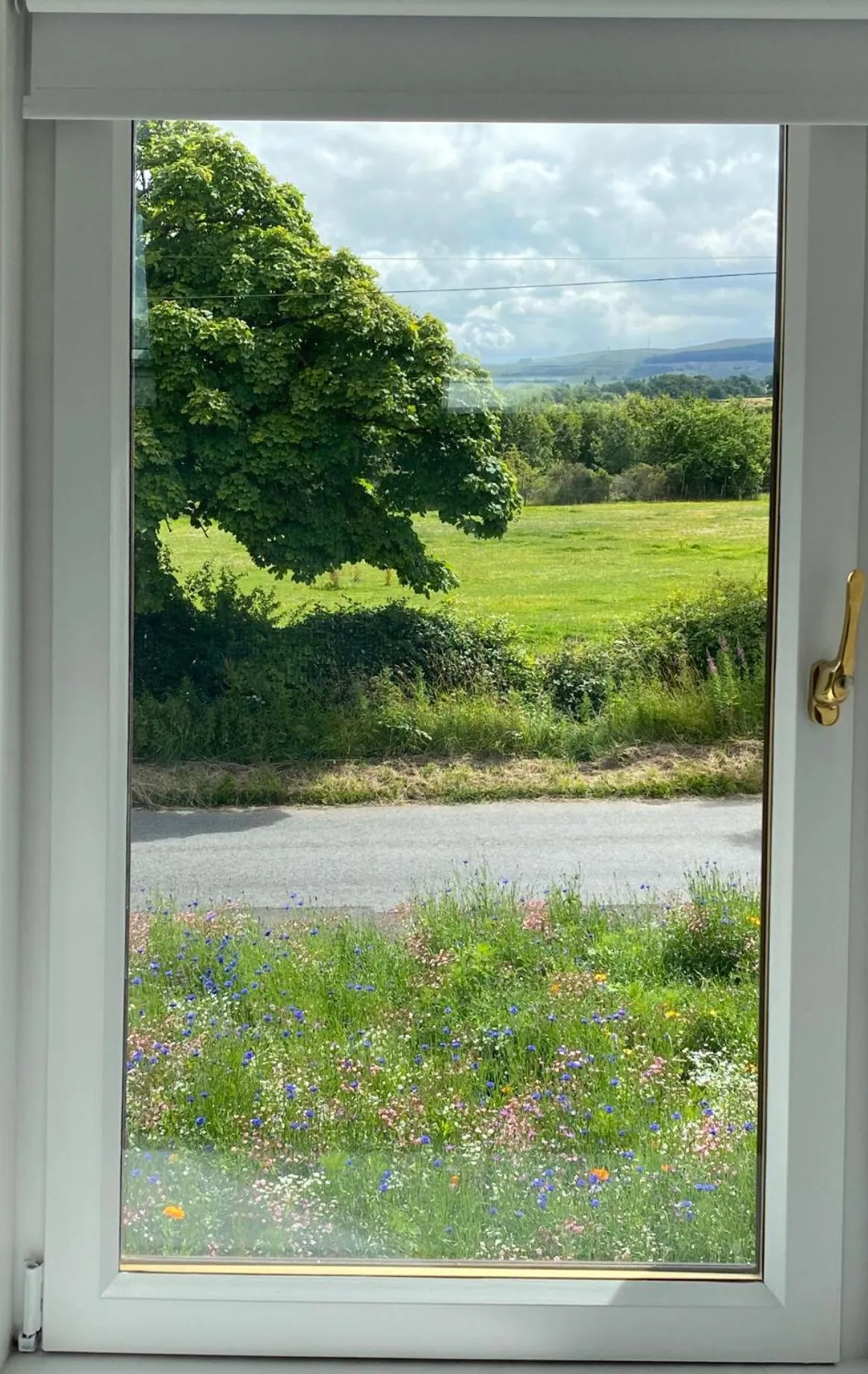 View (from property/room) in The Forge Bed & Breakfast