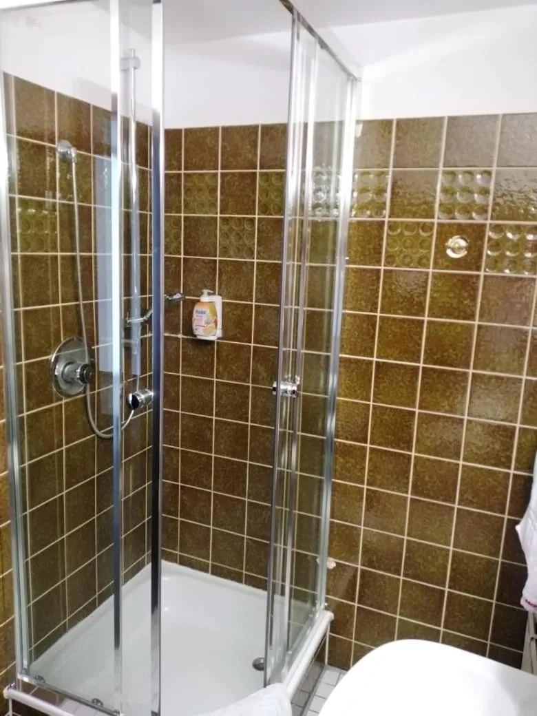 Shower in Hotel Berliner Hof