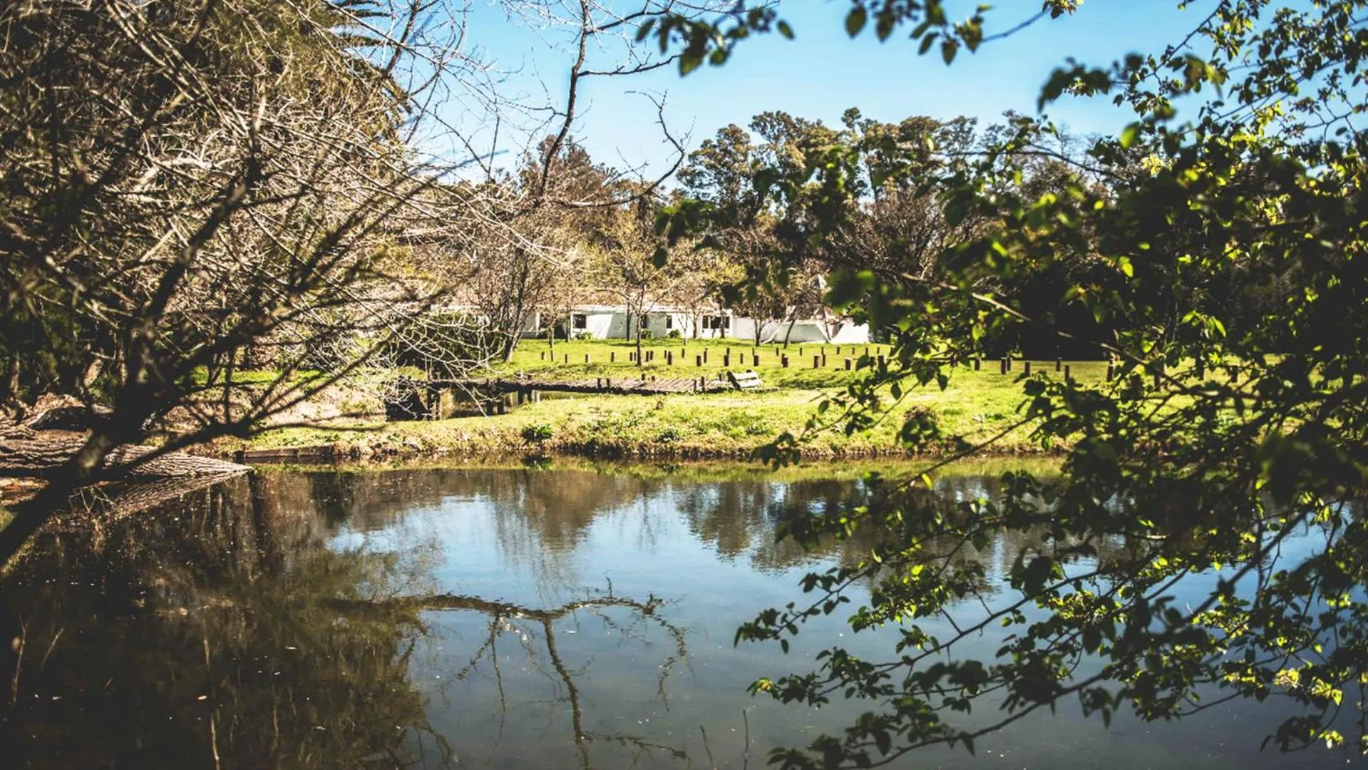 Patio in Posada Mendoza by DOT Tradition