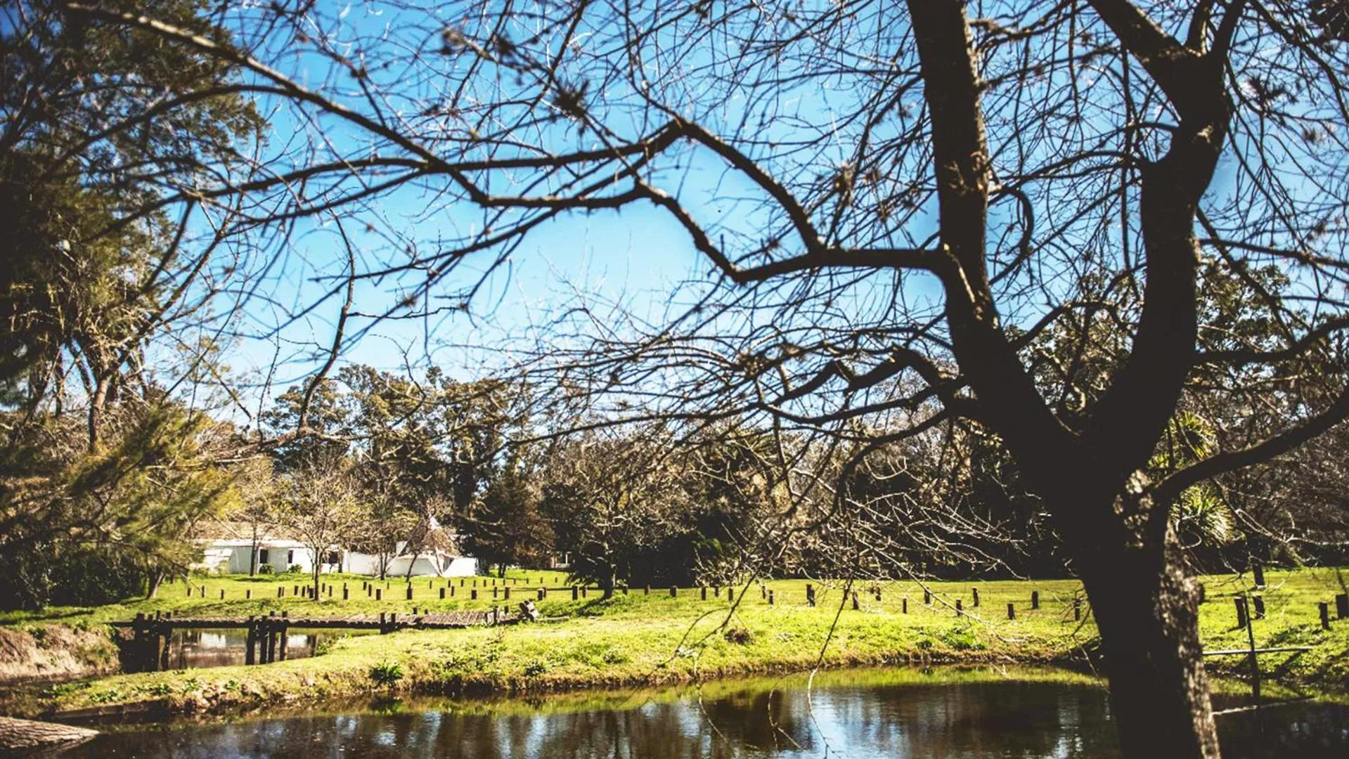 Patio in Posada Mendoza by DOT Tradition