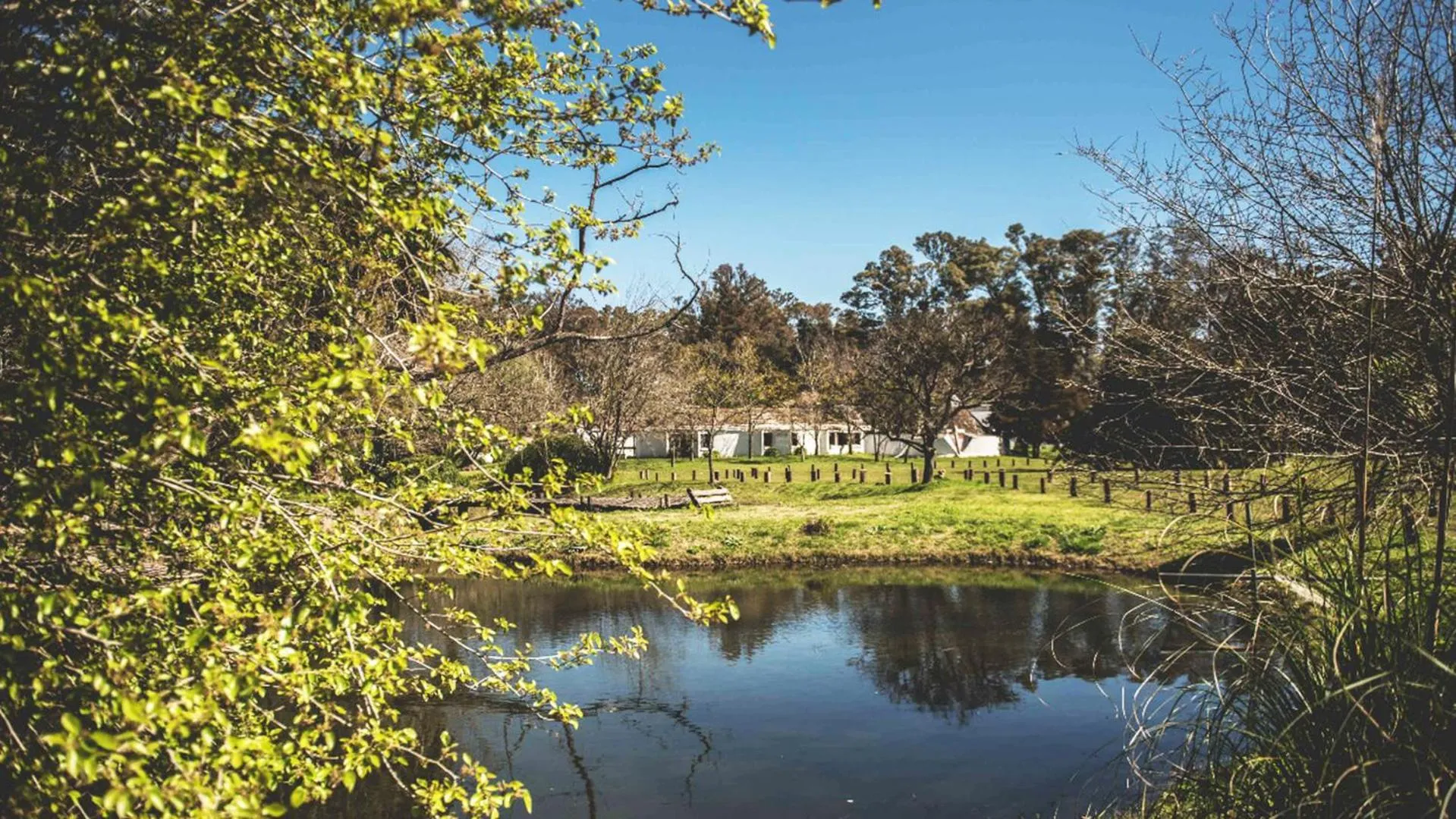 Patio in Posada Mendoza by DOT Tradition